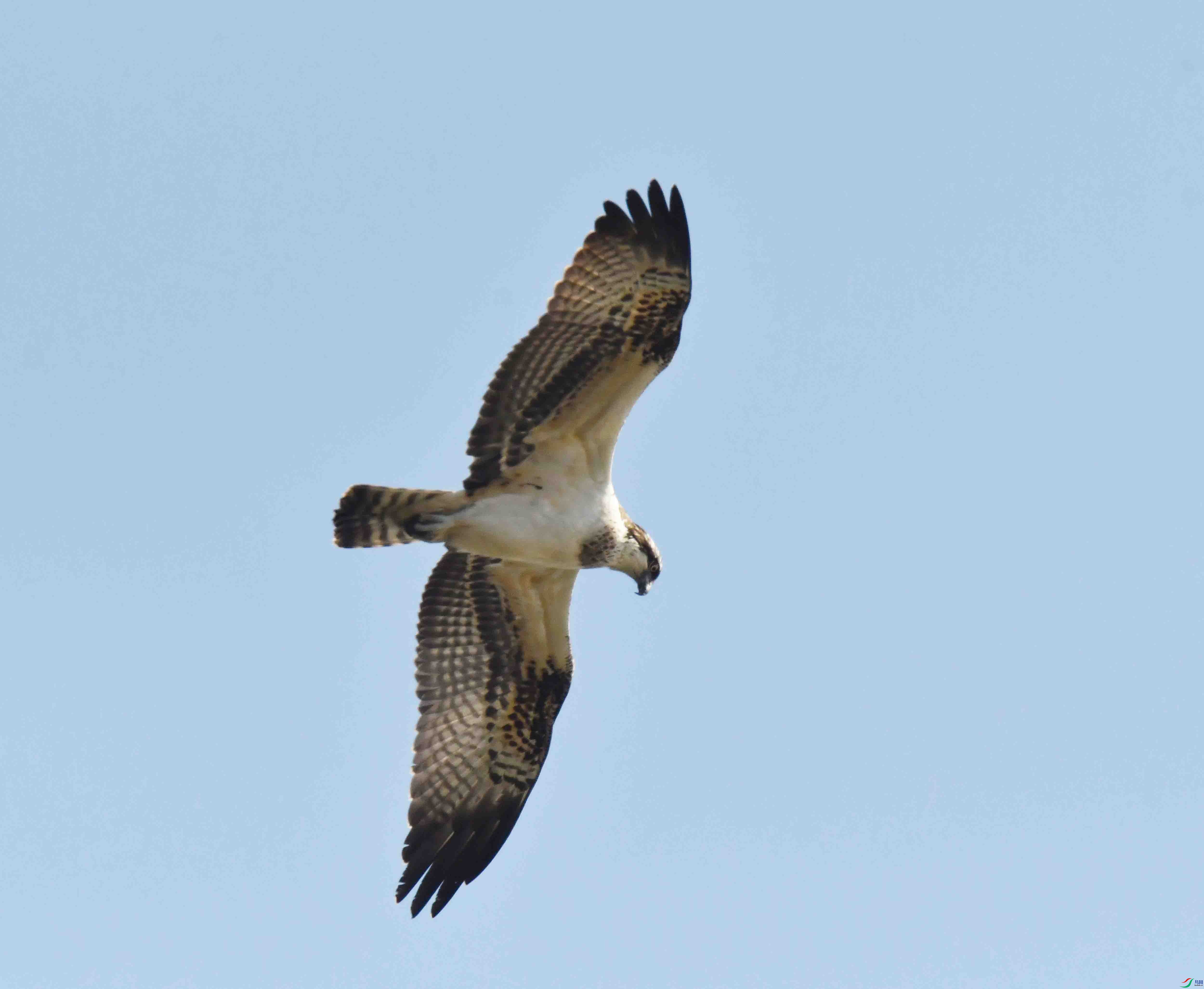 DSC_5166.JPG