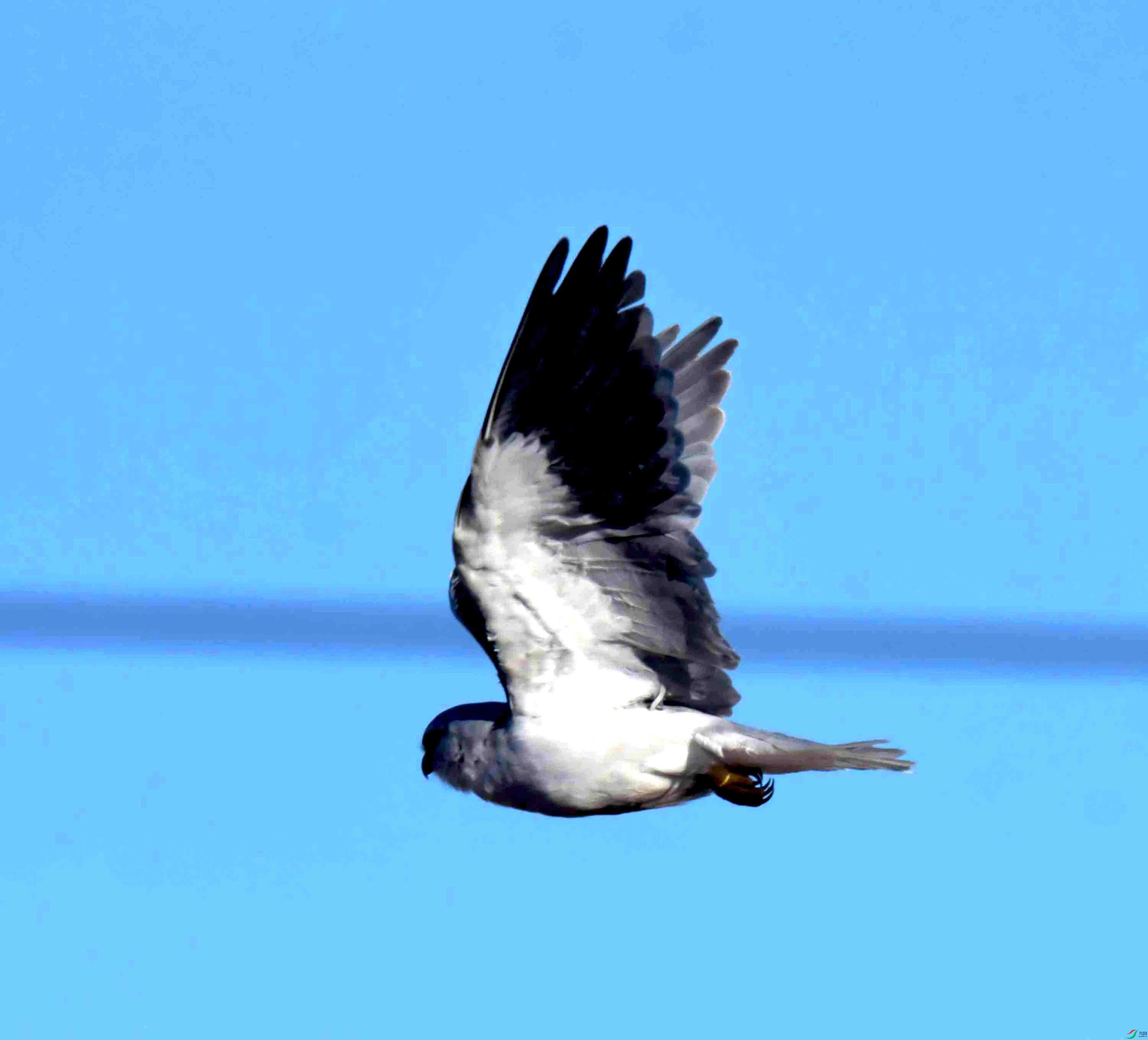 DSC_7007.JPG