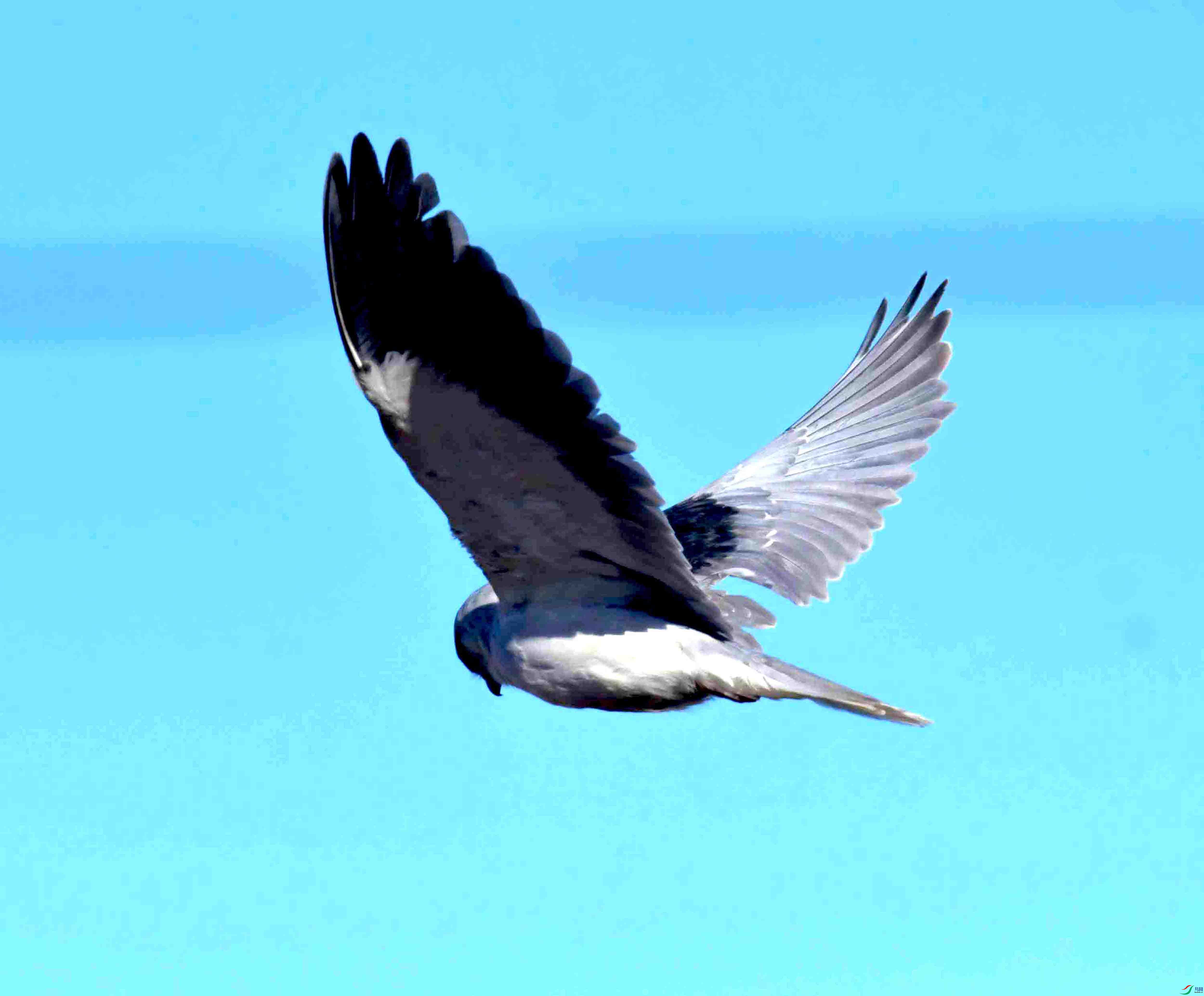 DSC_7035.JPG