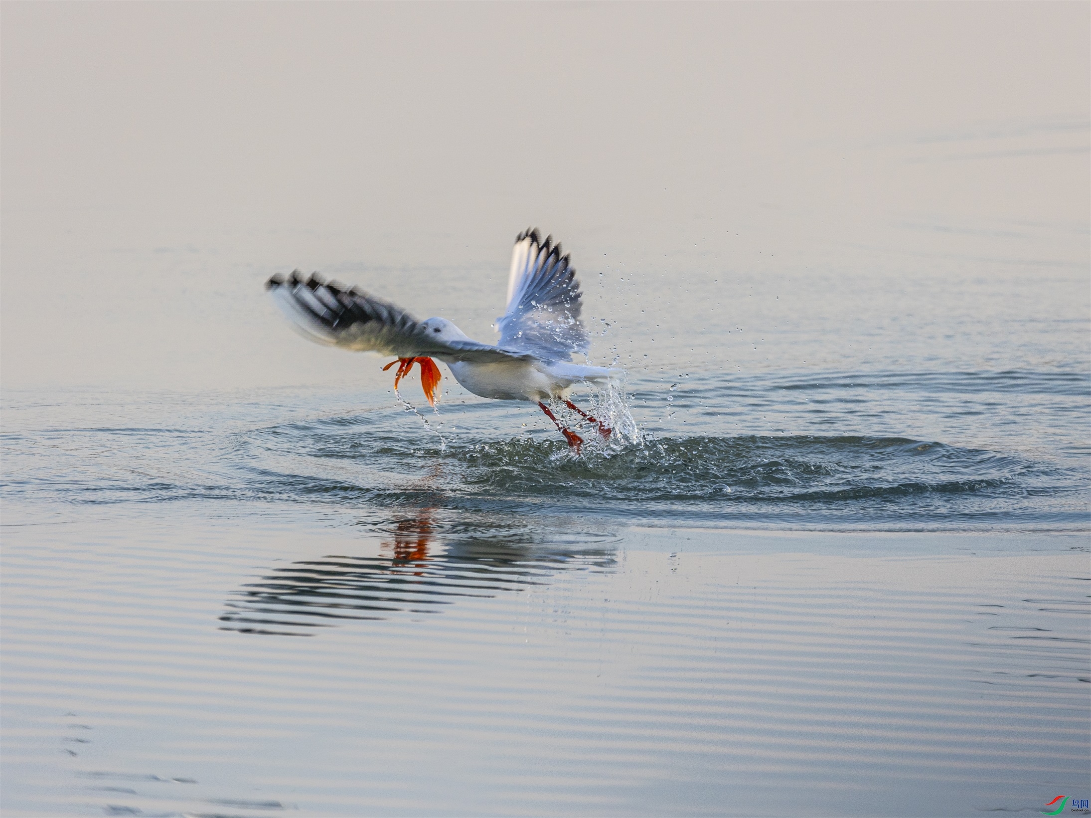 1K3A0128 ����1.jpg