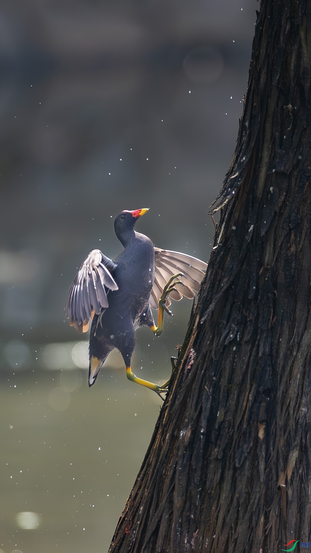 ˮ����ˮɼ�����������