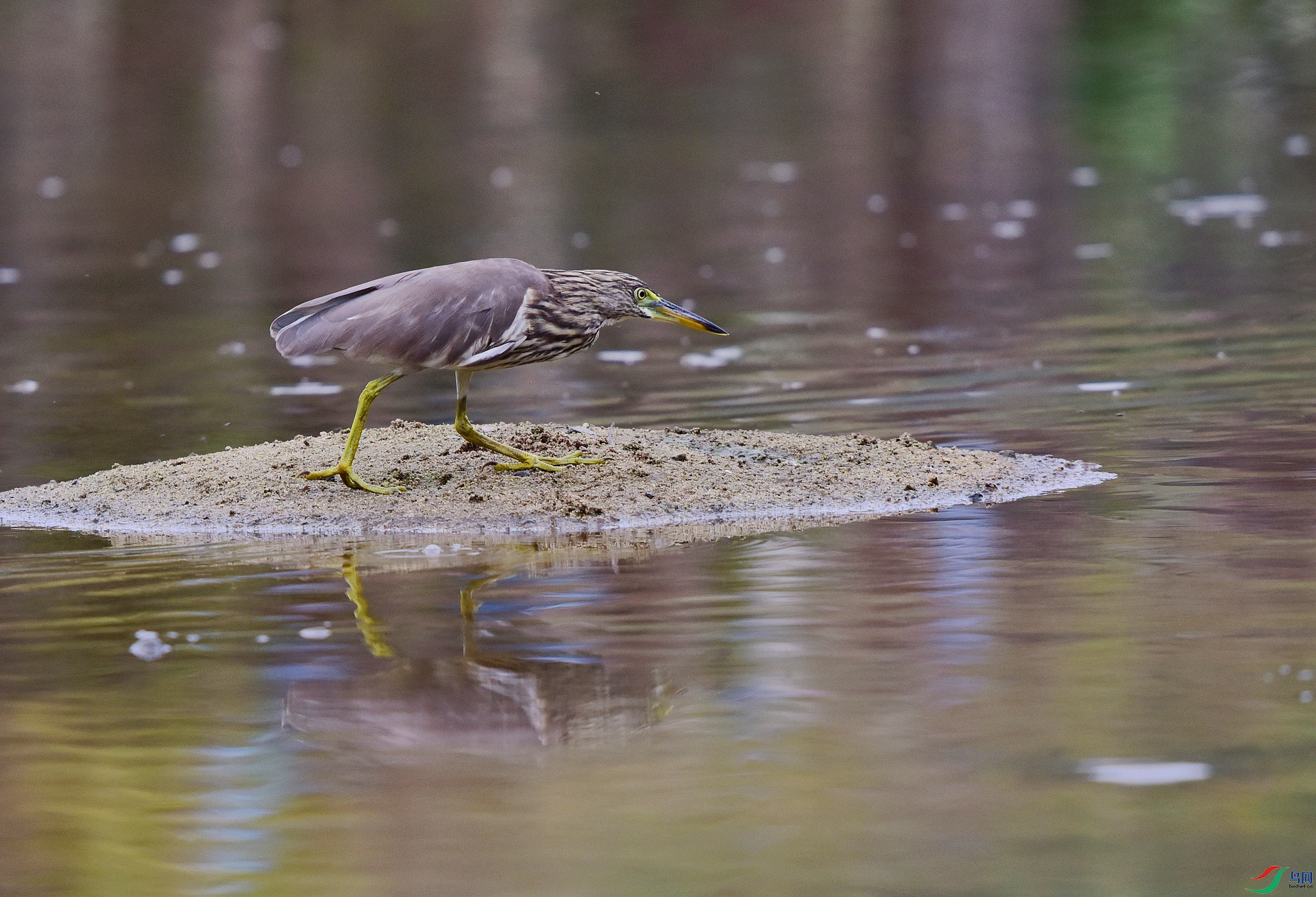 D8I_0718.jpg