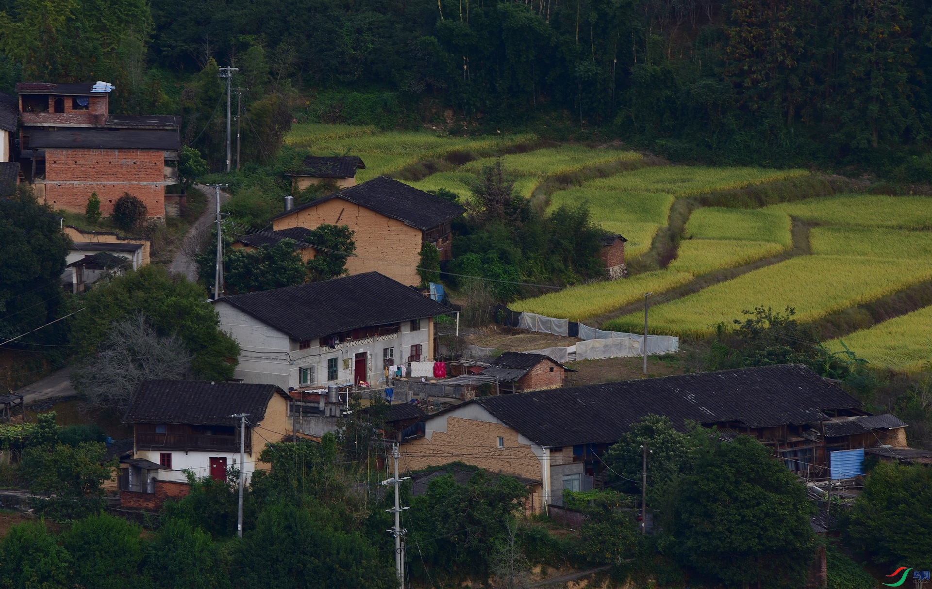 D8I_3389.jpg