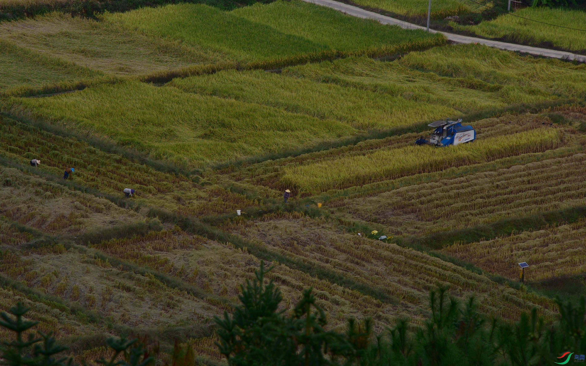 D8I_3388.jpg