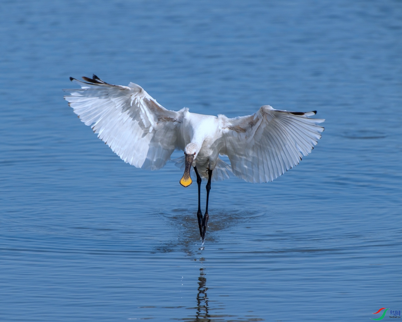 DSC_9446 ����.jpg