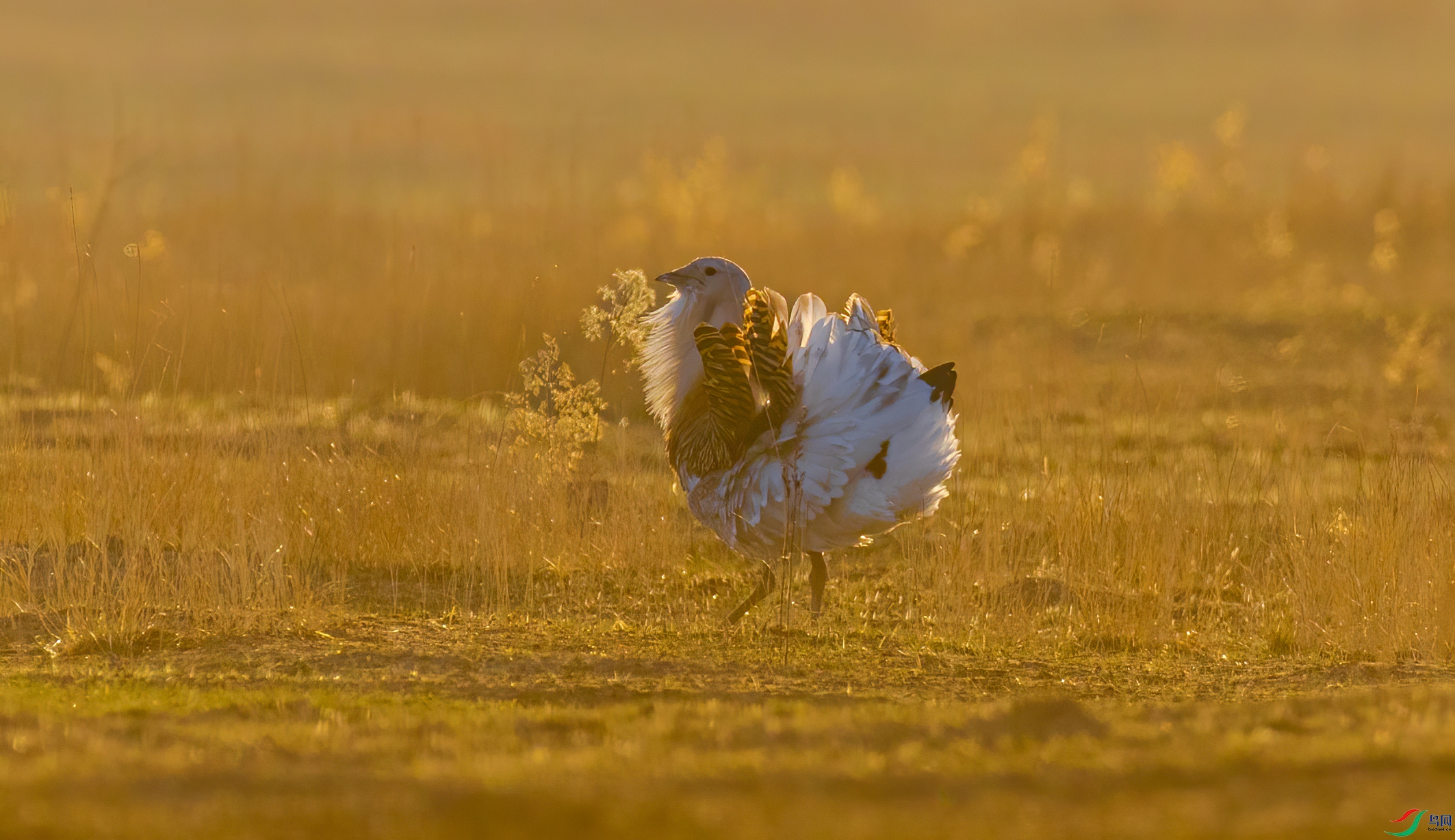 0D7A0769.jpg