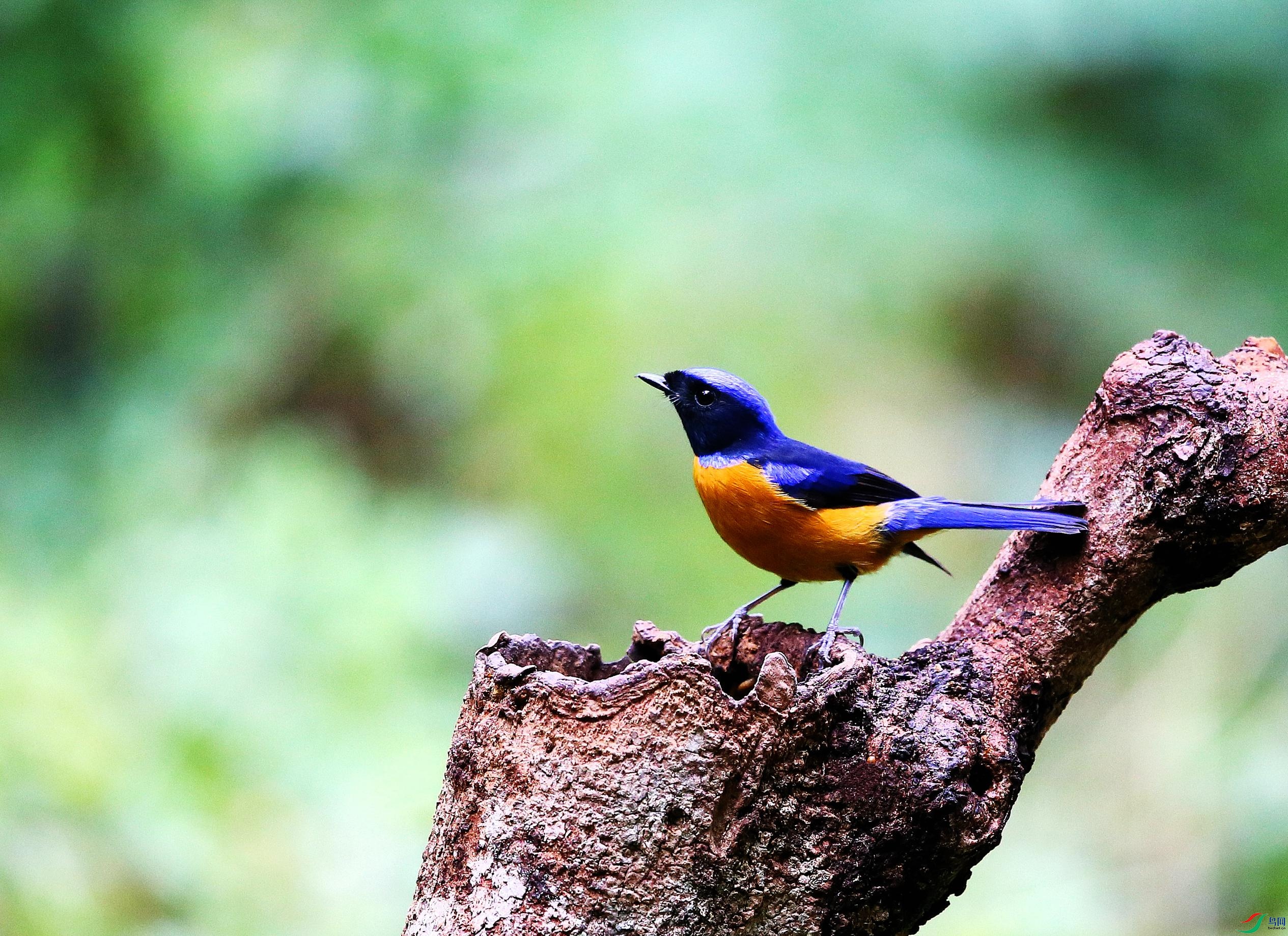 �ظ����l (15).JPG