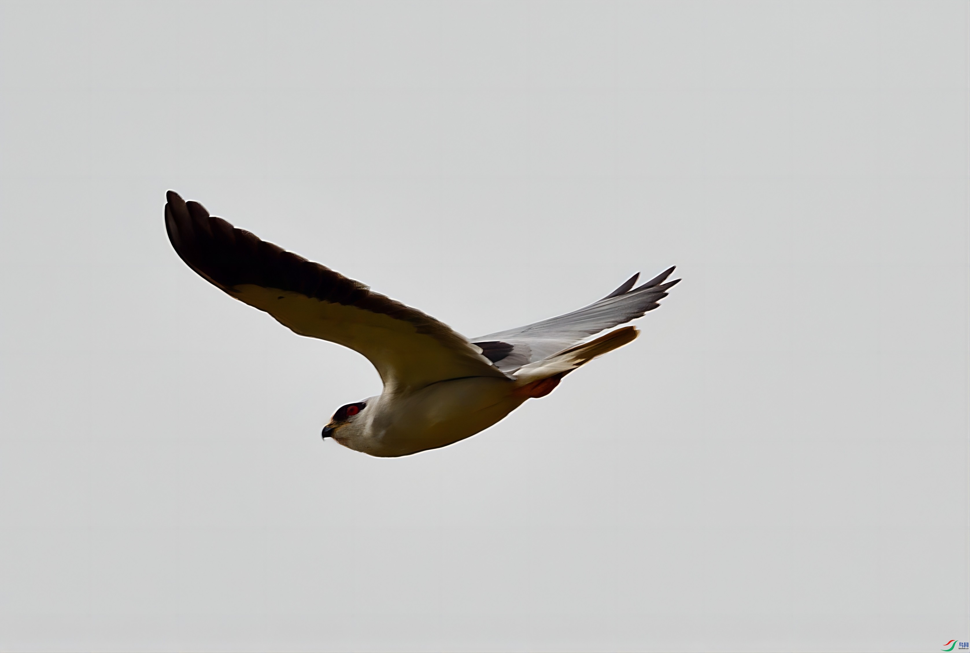DSC_3994_336(2).jpg