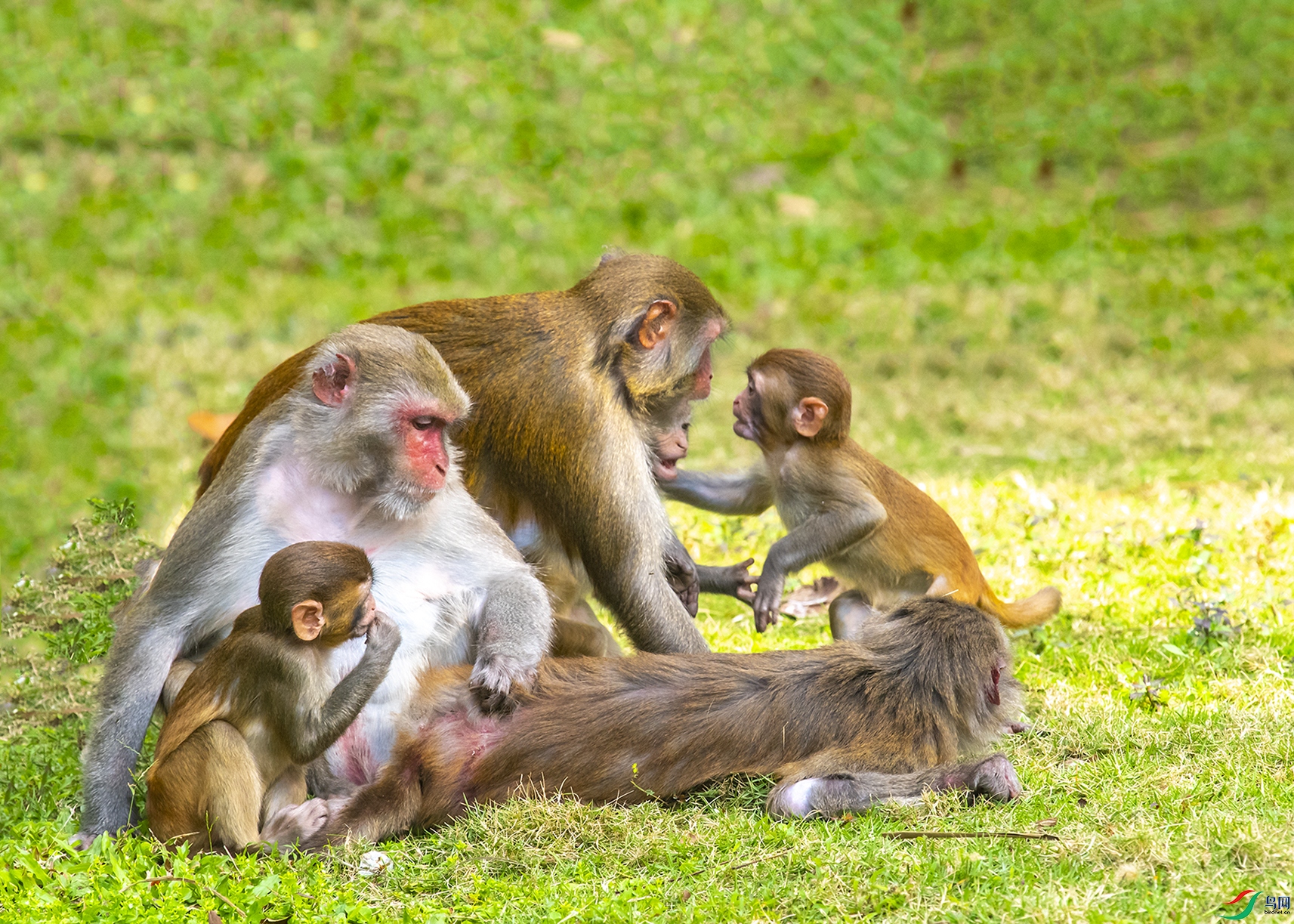 5205 ����.jpg