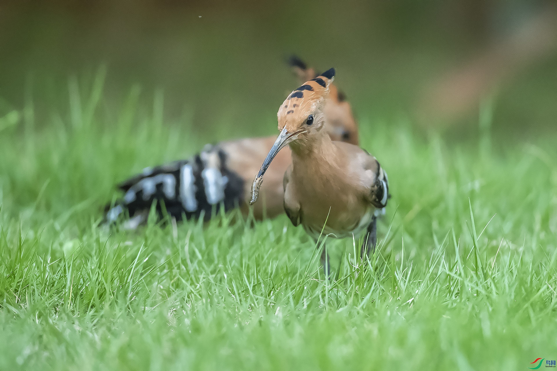 DSC_3049.jpg