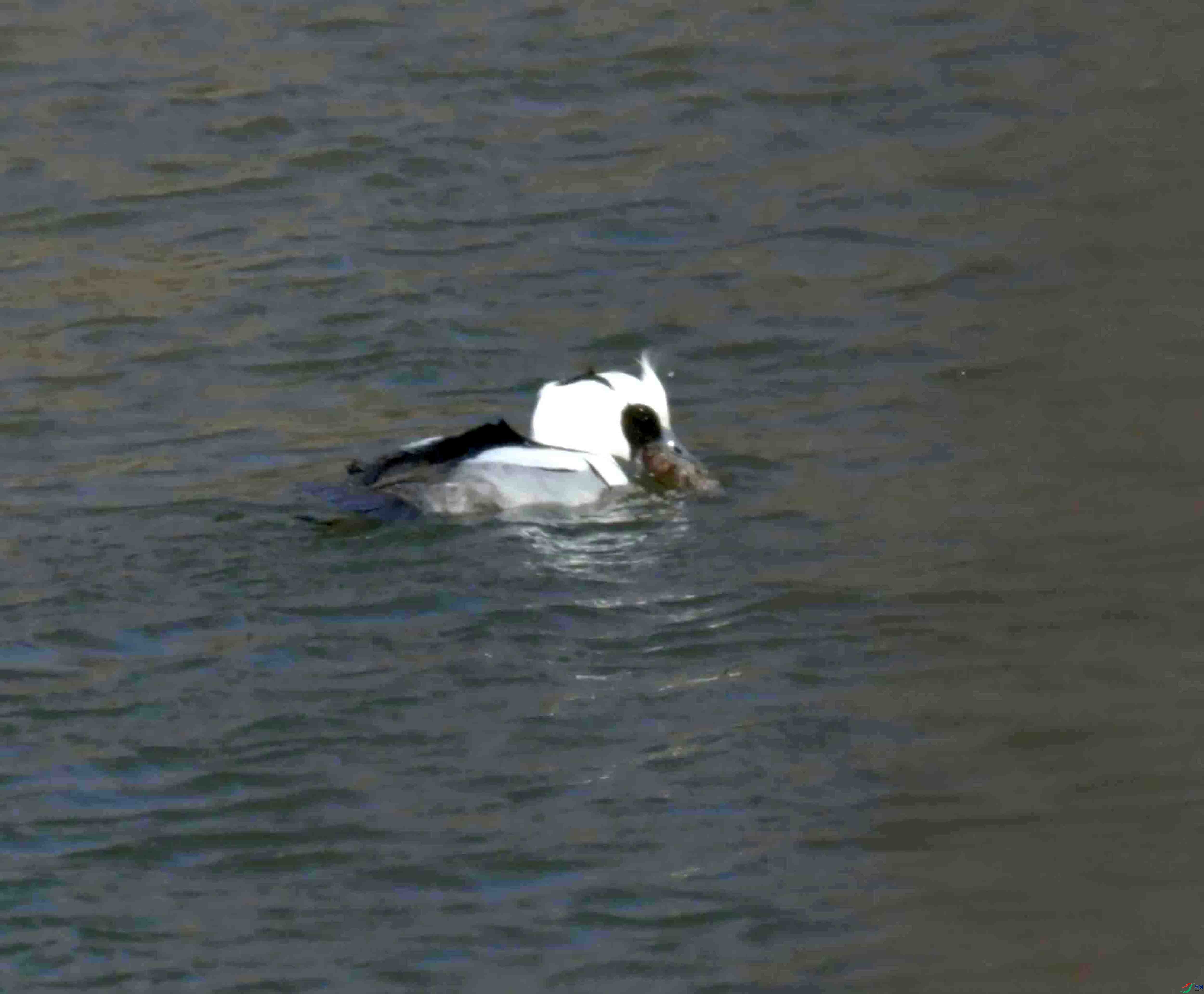 DSC_5443.JPG