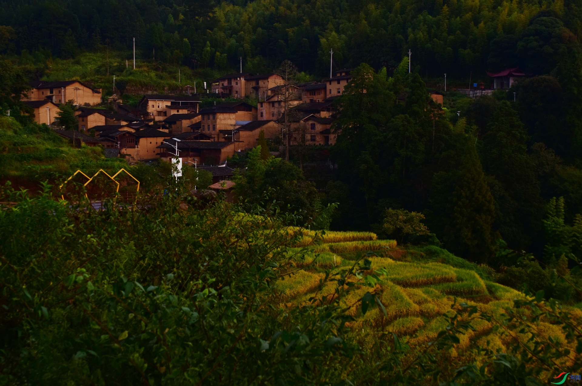 D8I_2635.jpg