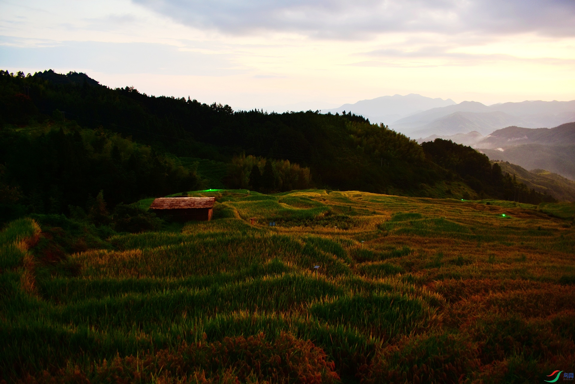 D8I_2655.jpg