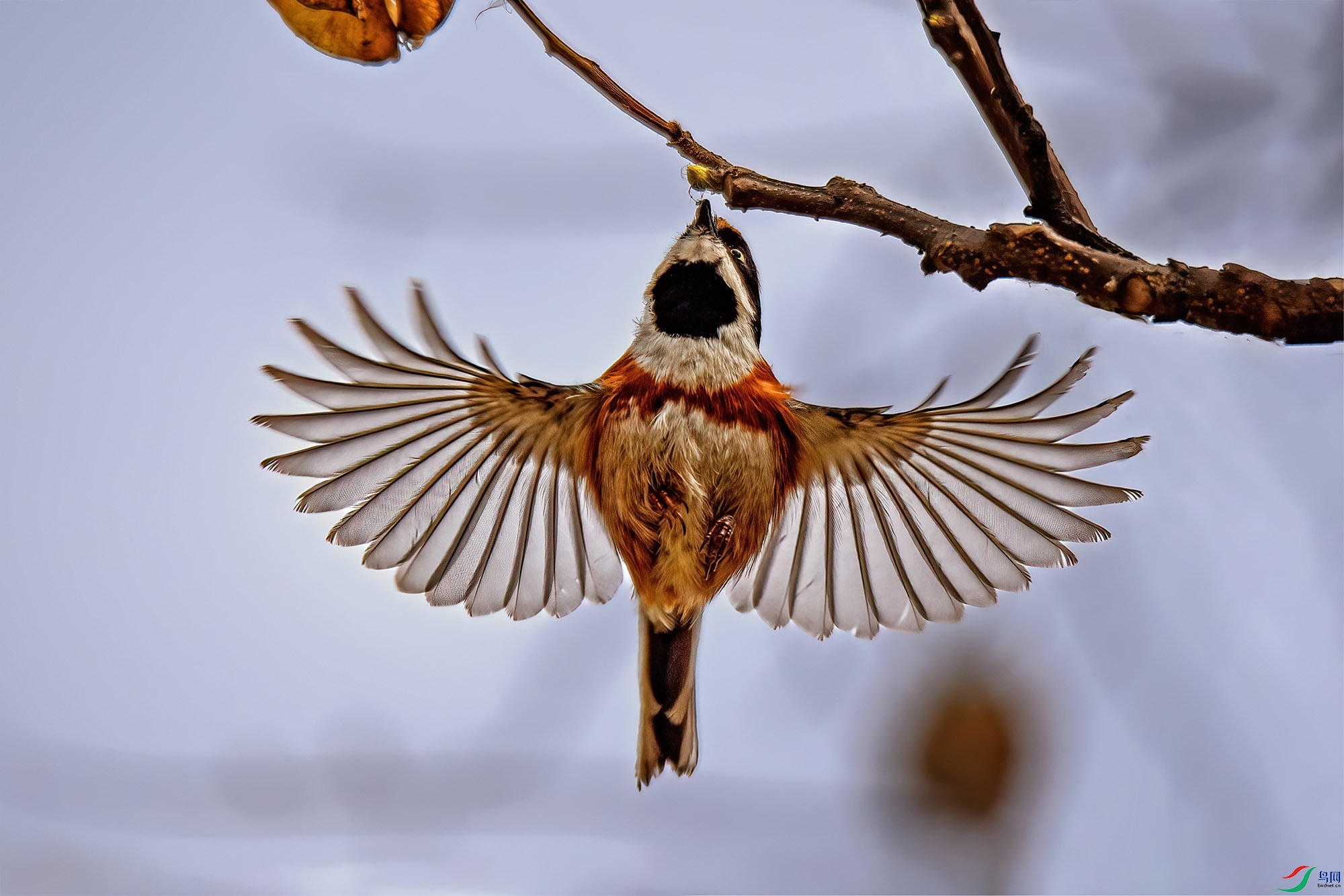 DSC_4545.JPG