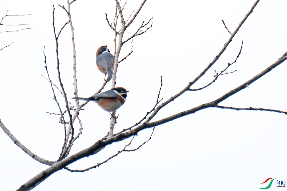 DSCF1164.1.jpg
