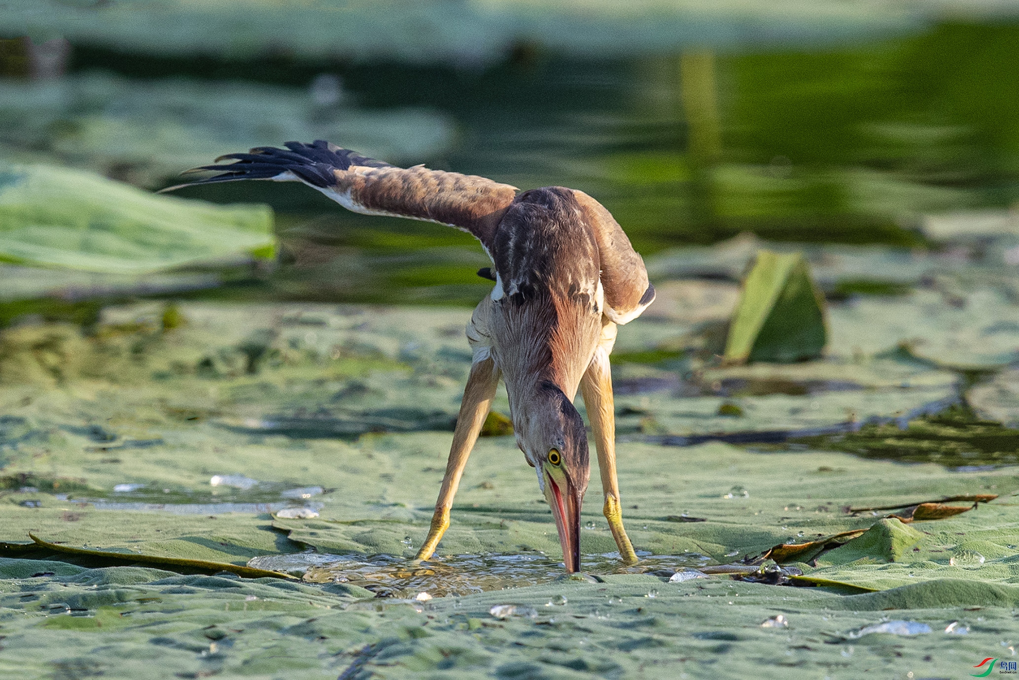 _90I1540 ����.jpg