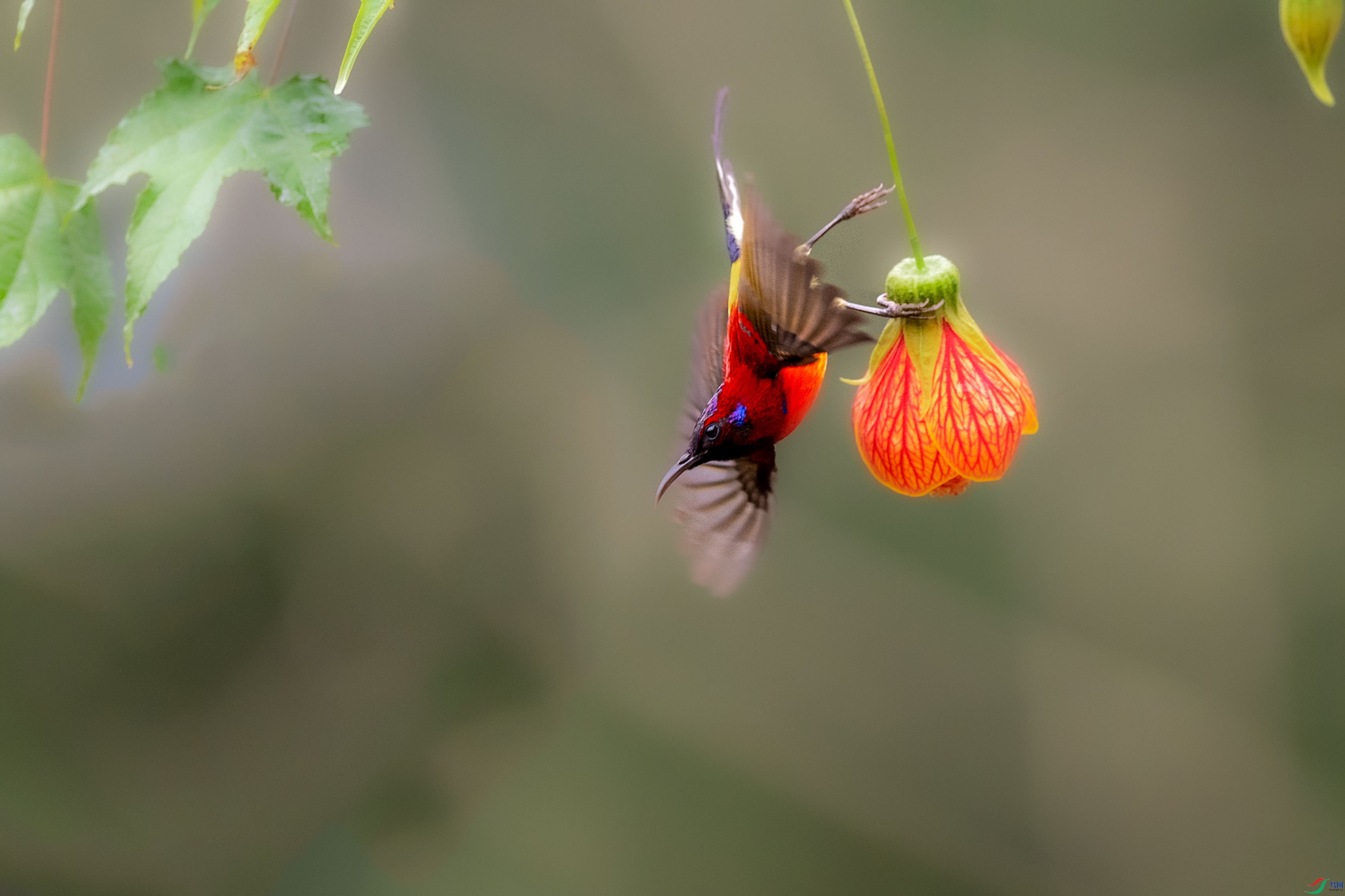 AAE_0318.jpg