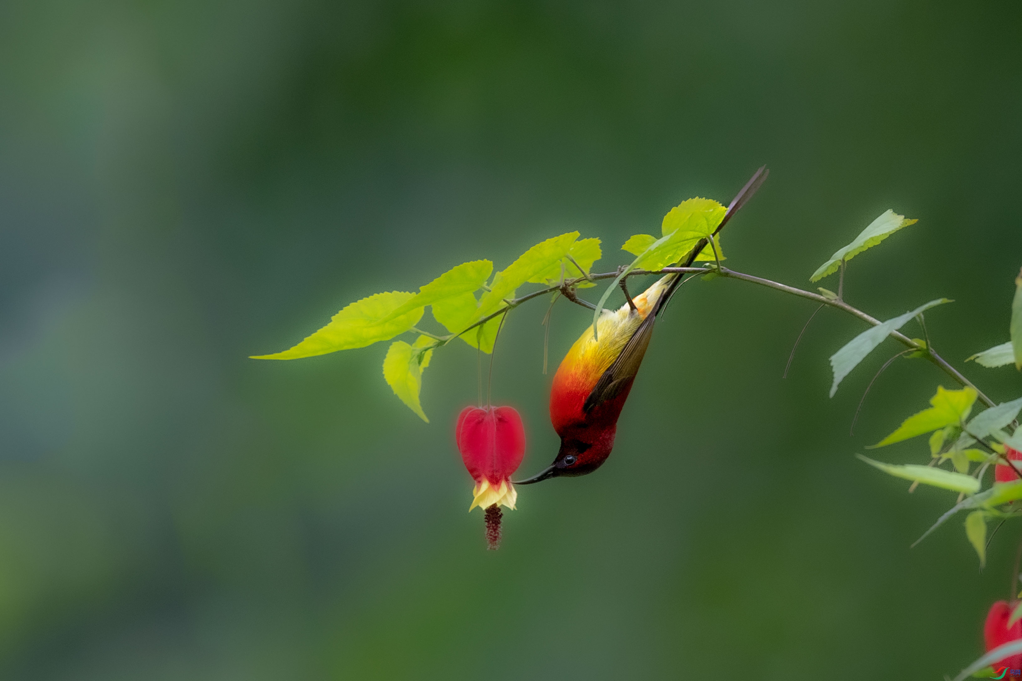 AAE_0707.jpg