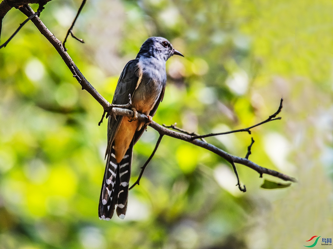 DSC_9727.jpg