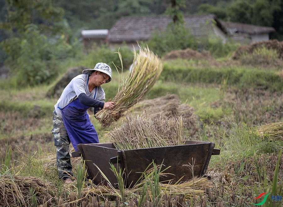 3V6A5011 ����.jpg