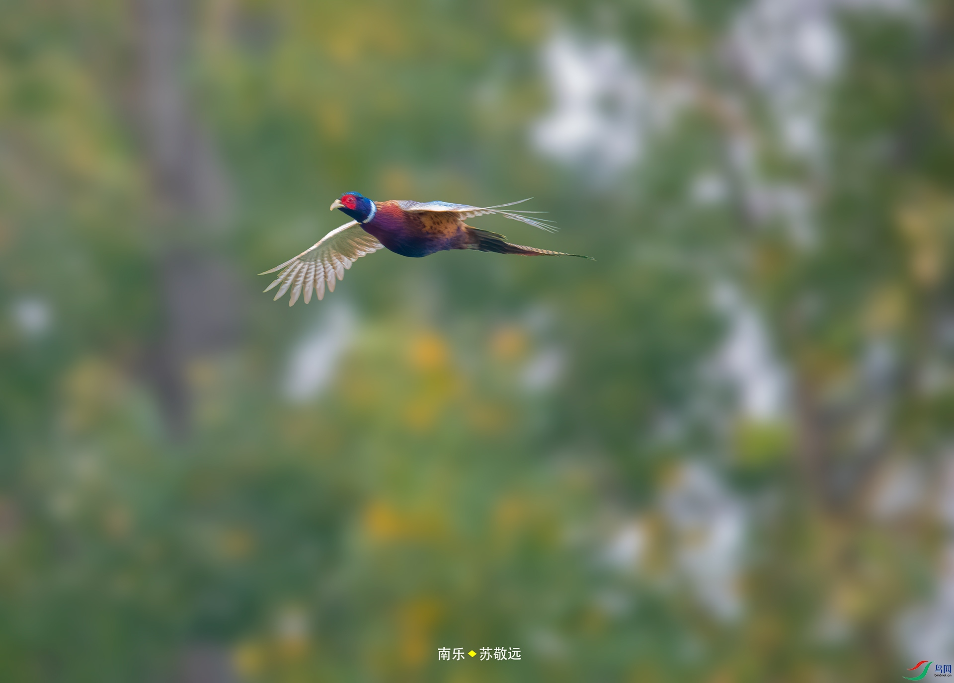 _AAA1717С.jpg