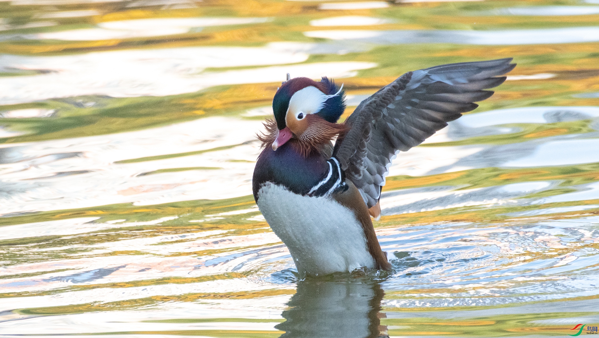 DSC_8511.jpg