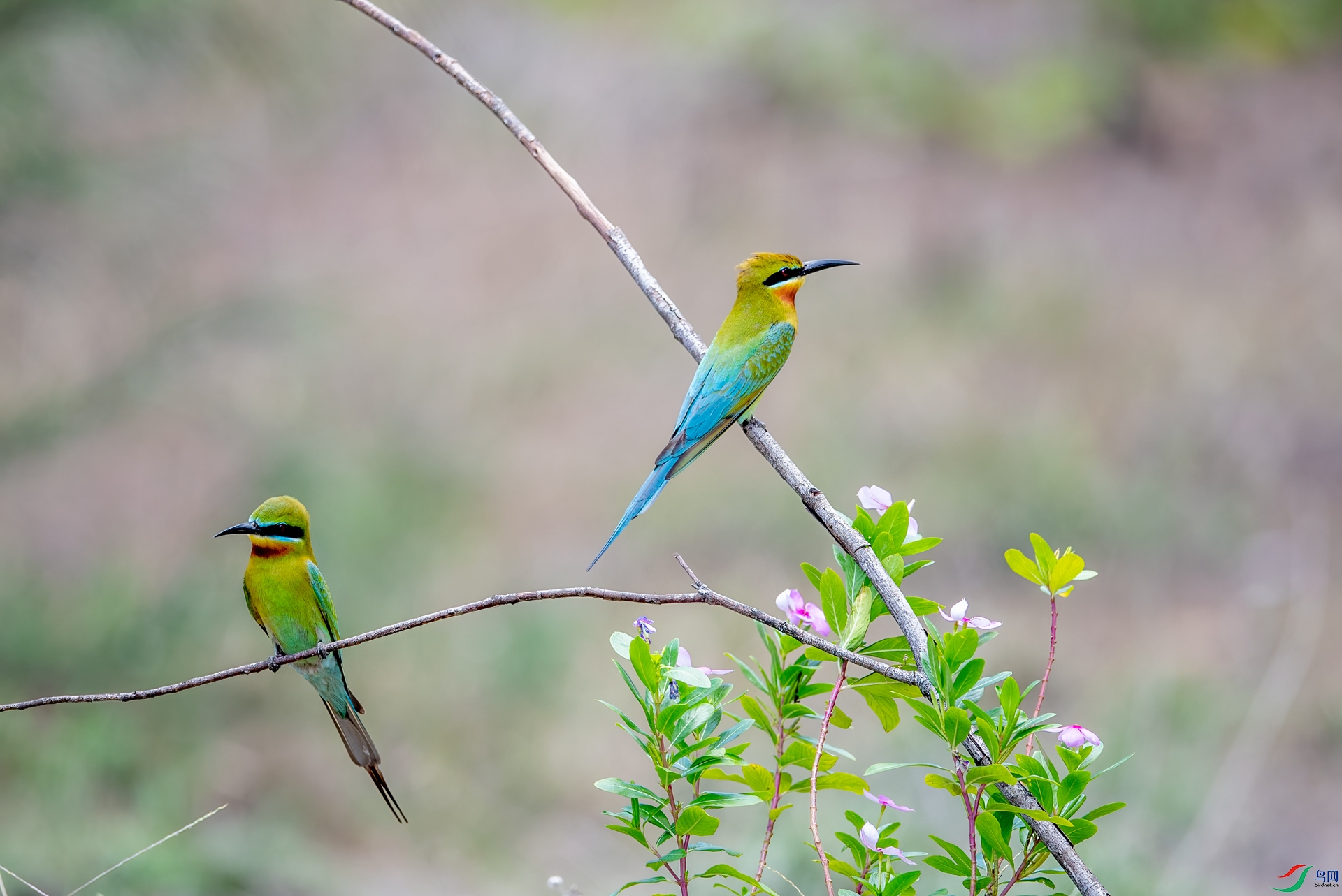 DSC_6721.jpg