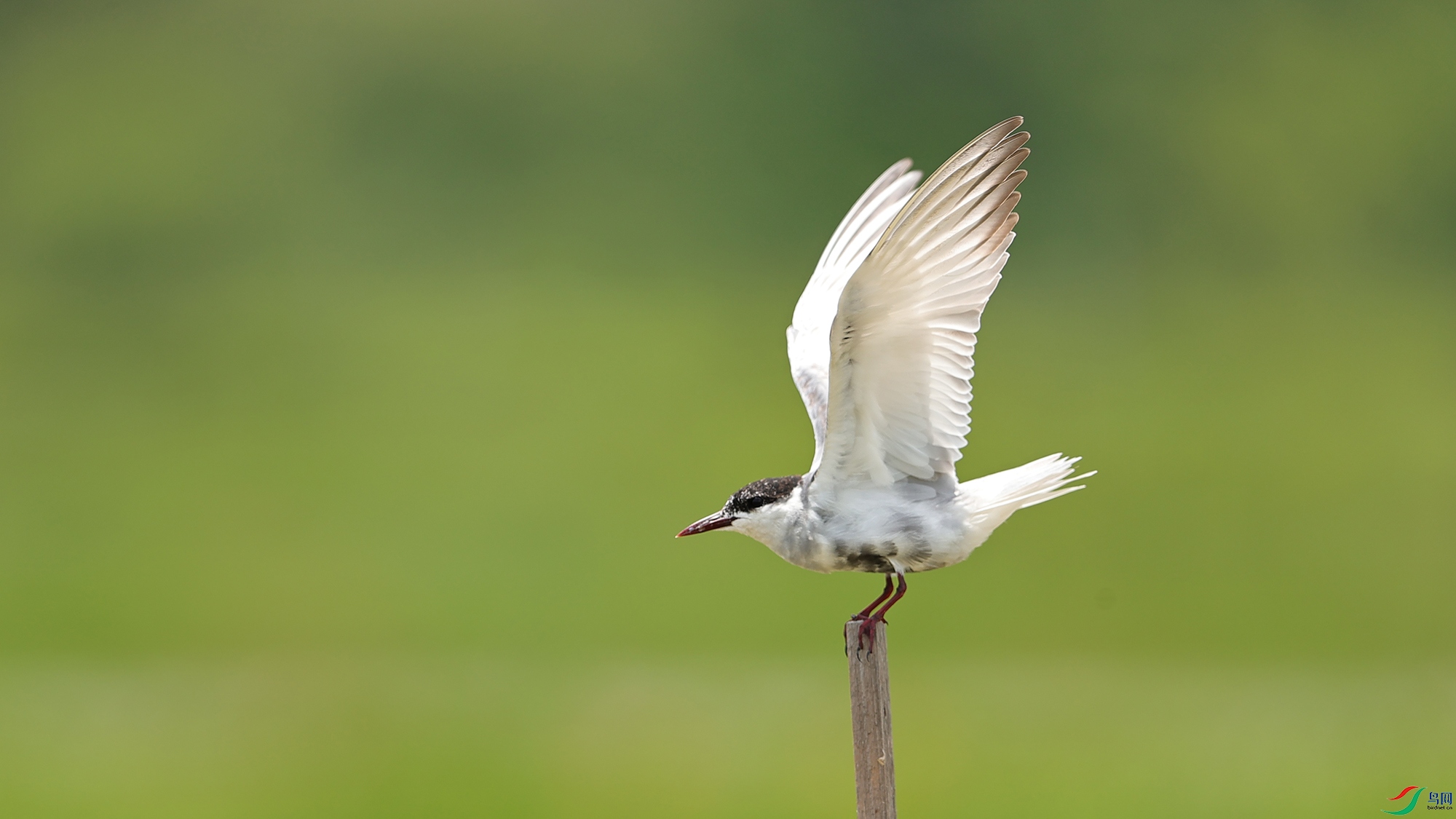 AI2I4518����.jpg