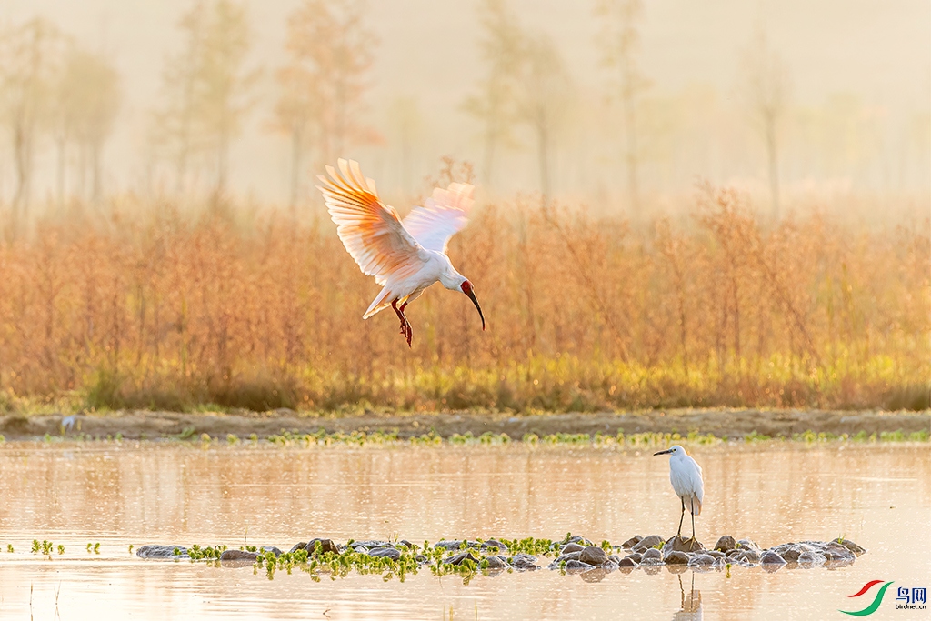 hnxydzR231102 (1827)_DxO.jpg