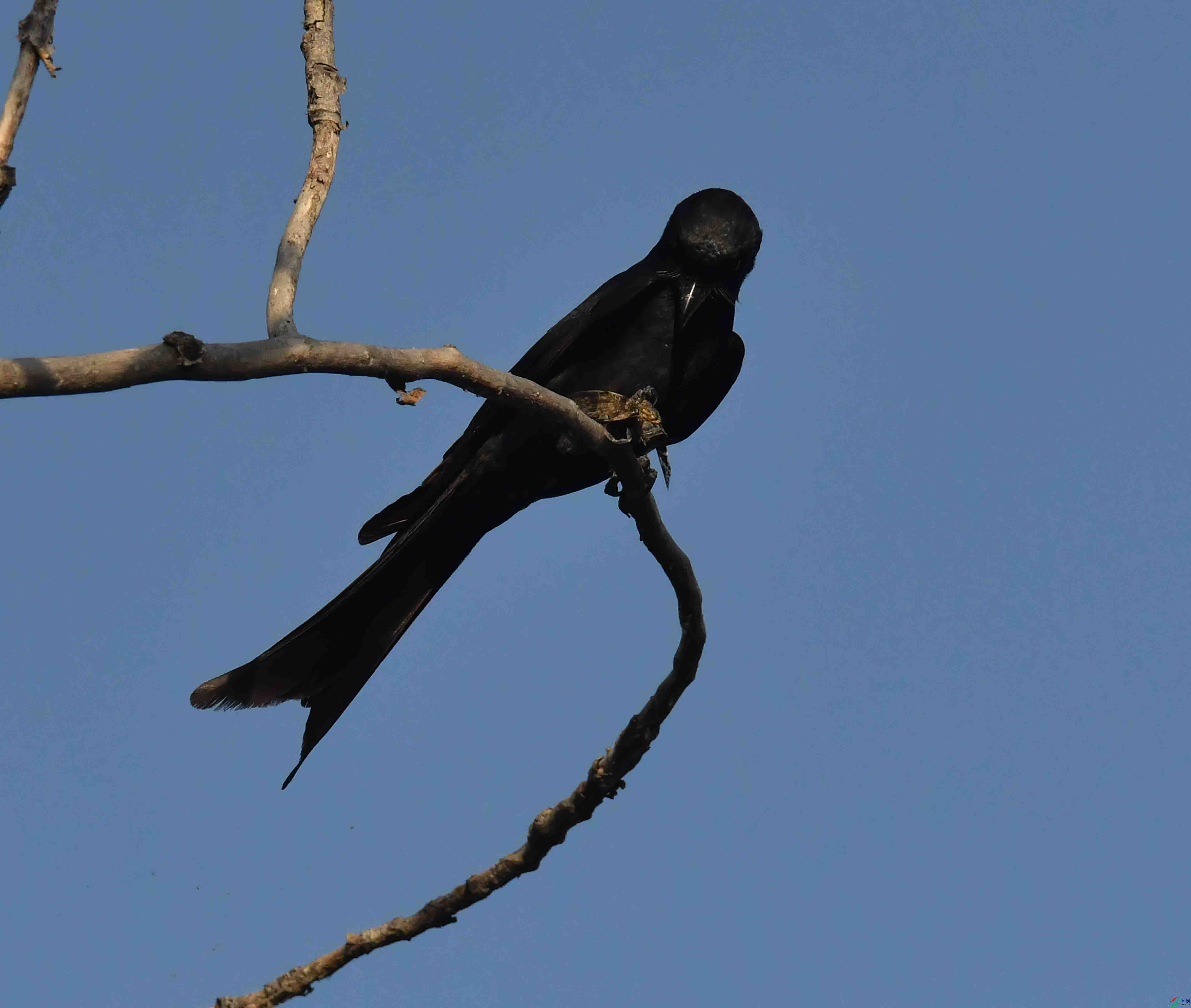 DSC_9992.JPG
