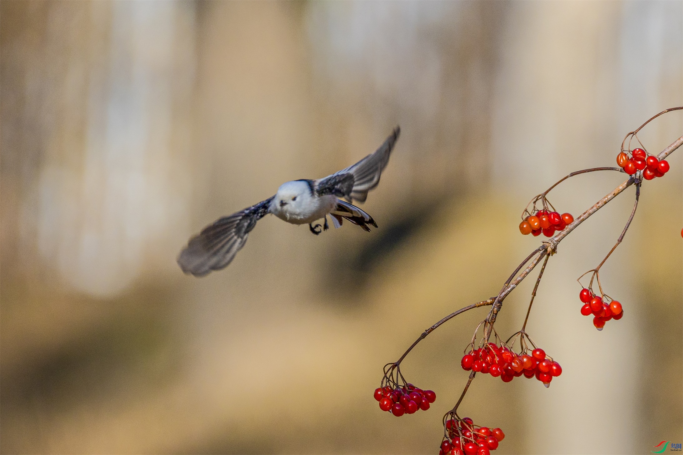 1K3A7793 ����1.jpg