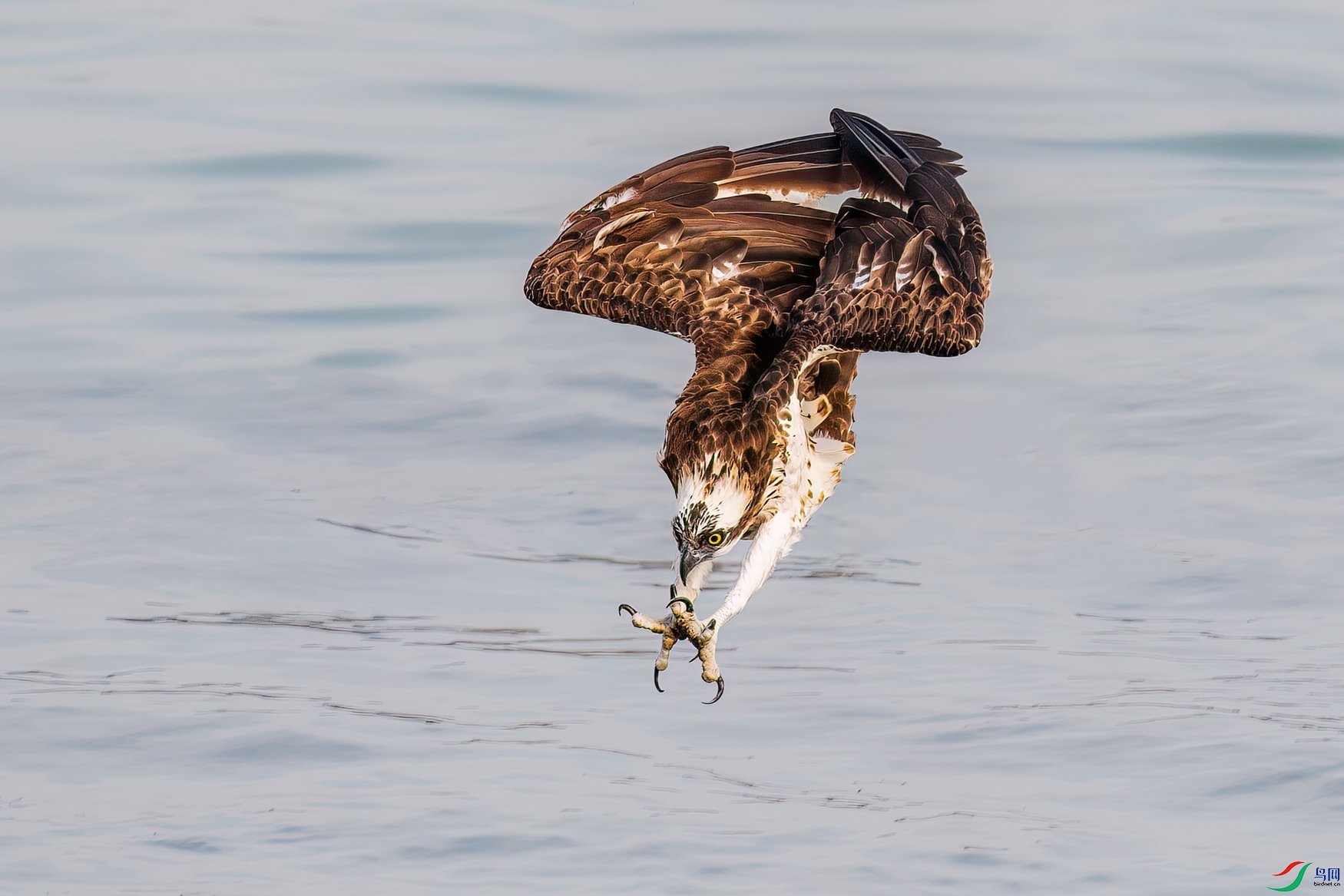 DSC_5956.jpg