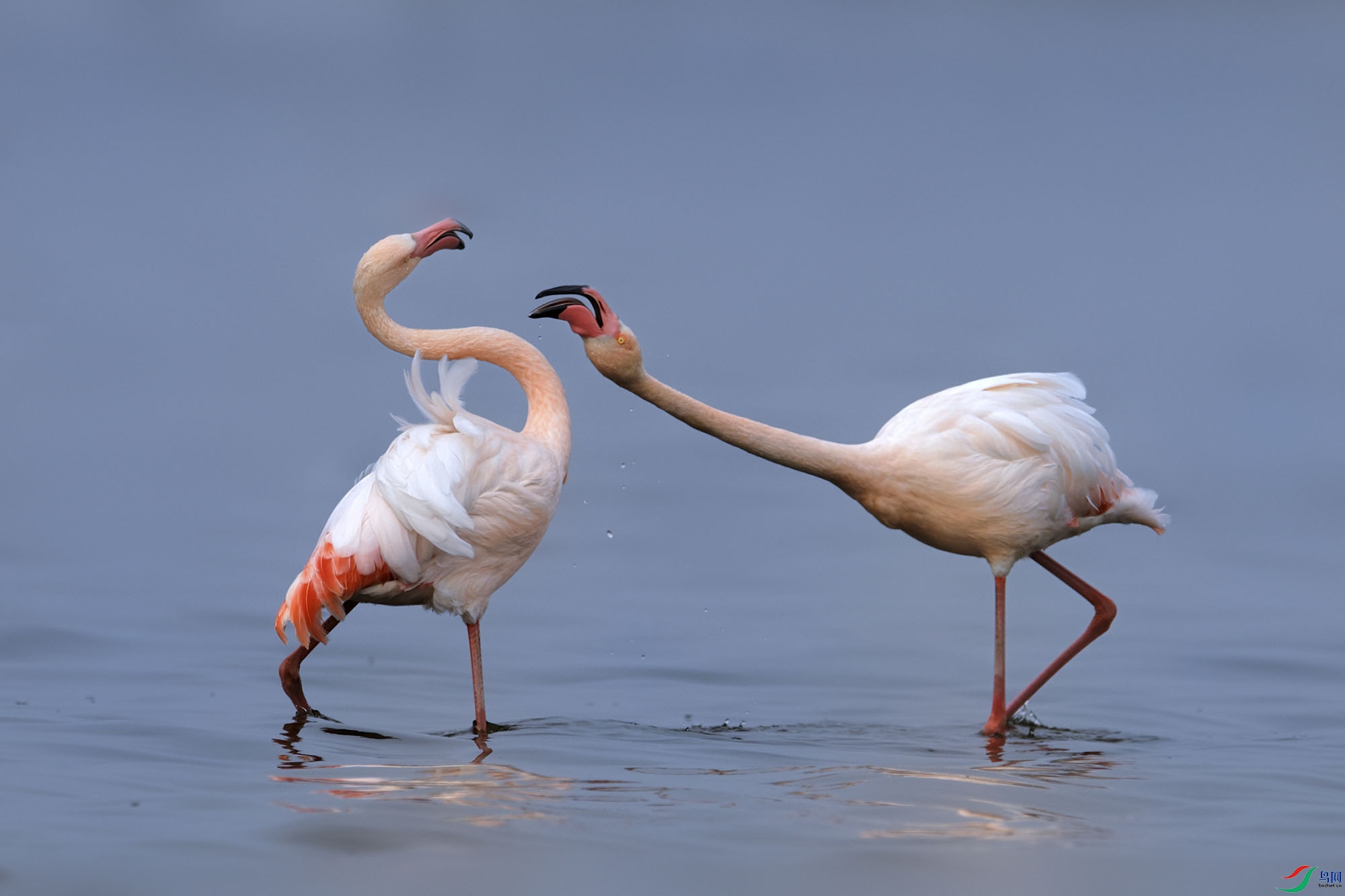 _A4I0828_DxOС ����.jpg