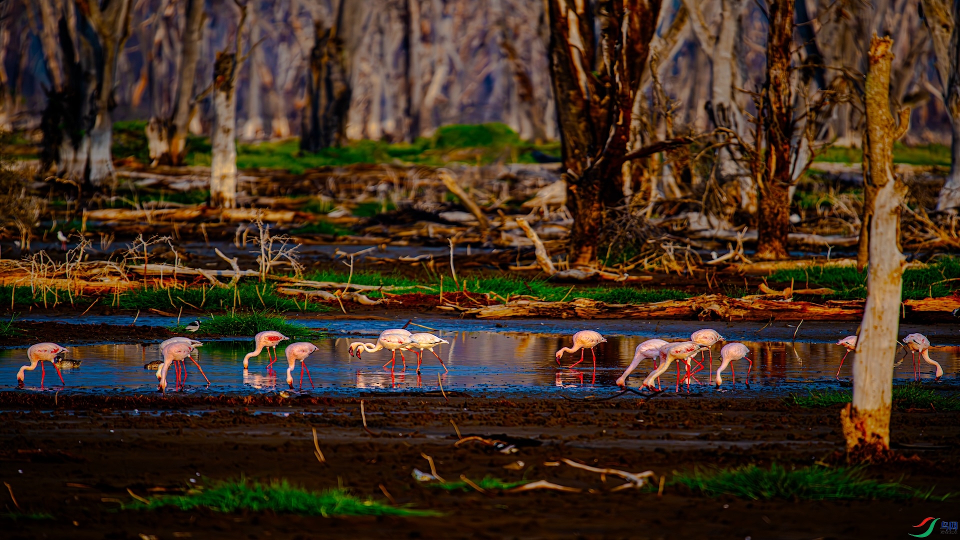 ��ɣ DSC_8639.jpg