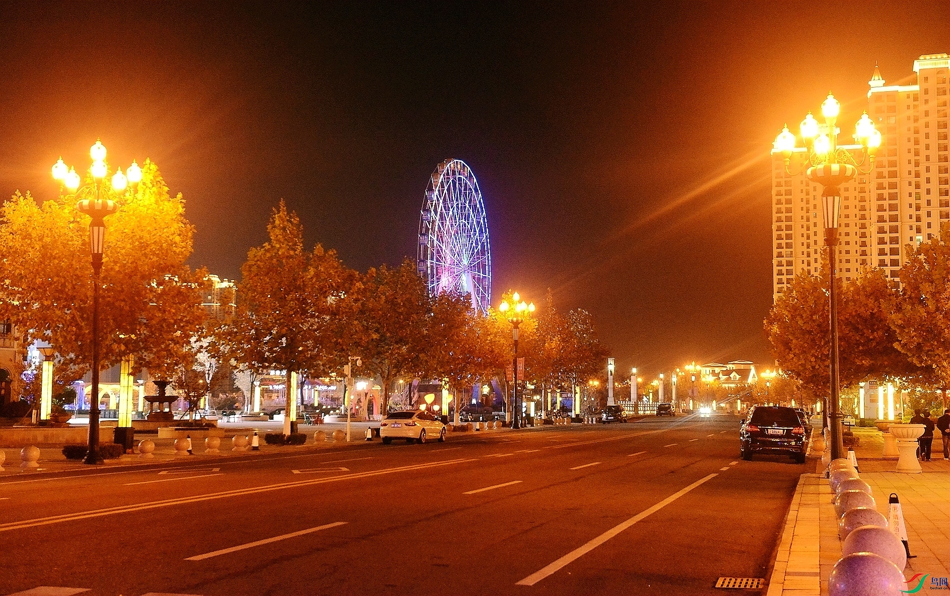 DSC_4669_����.jpg