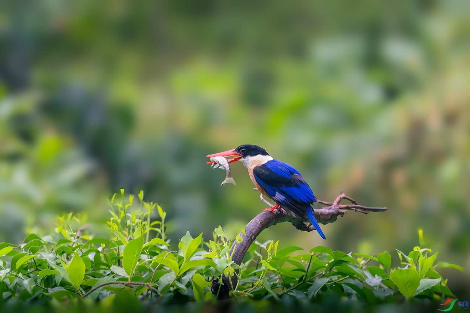DSC_8128-2.jpg