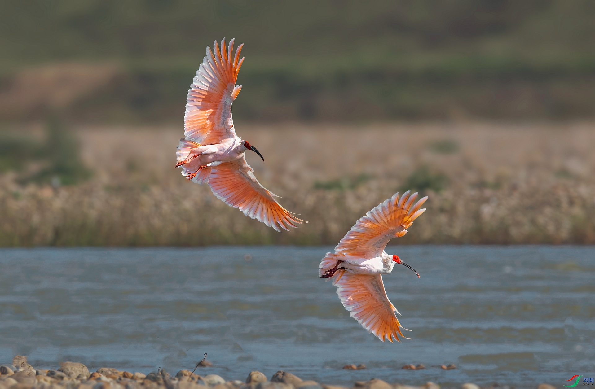 DSC_8807 ����_���� ����.jpg