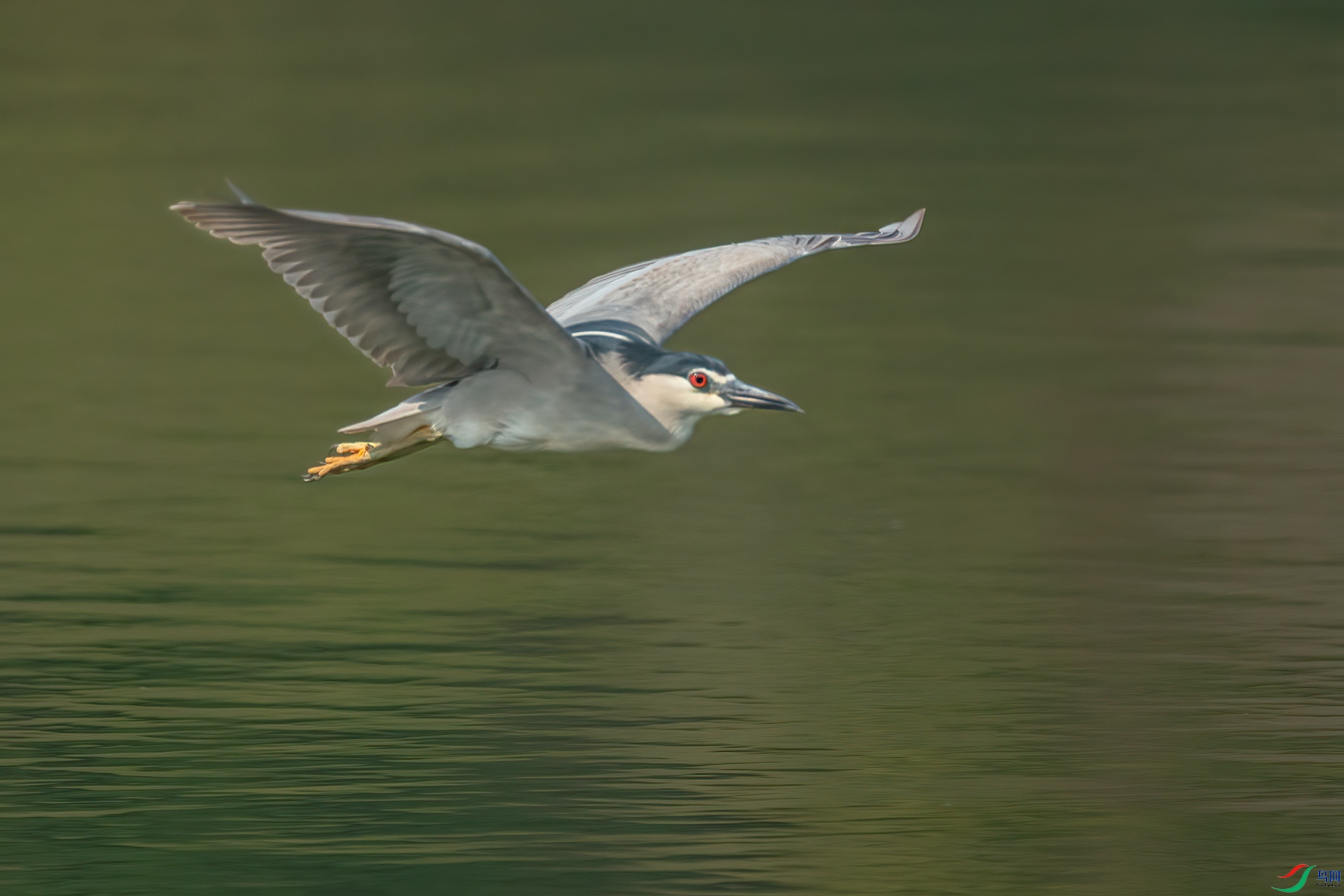 B86I5908 a_����.jpg