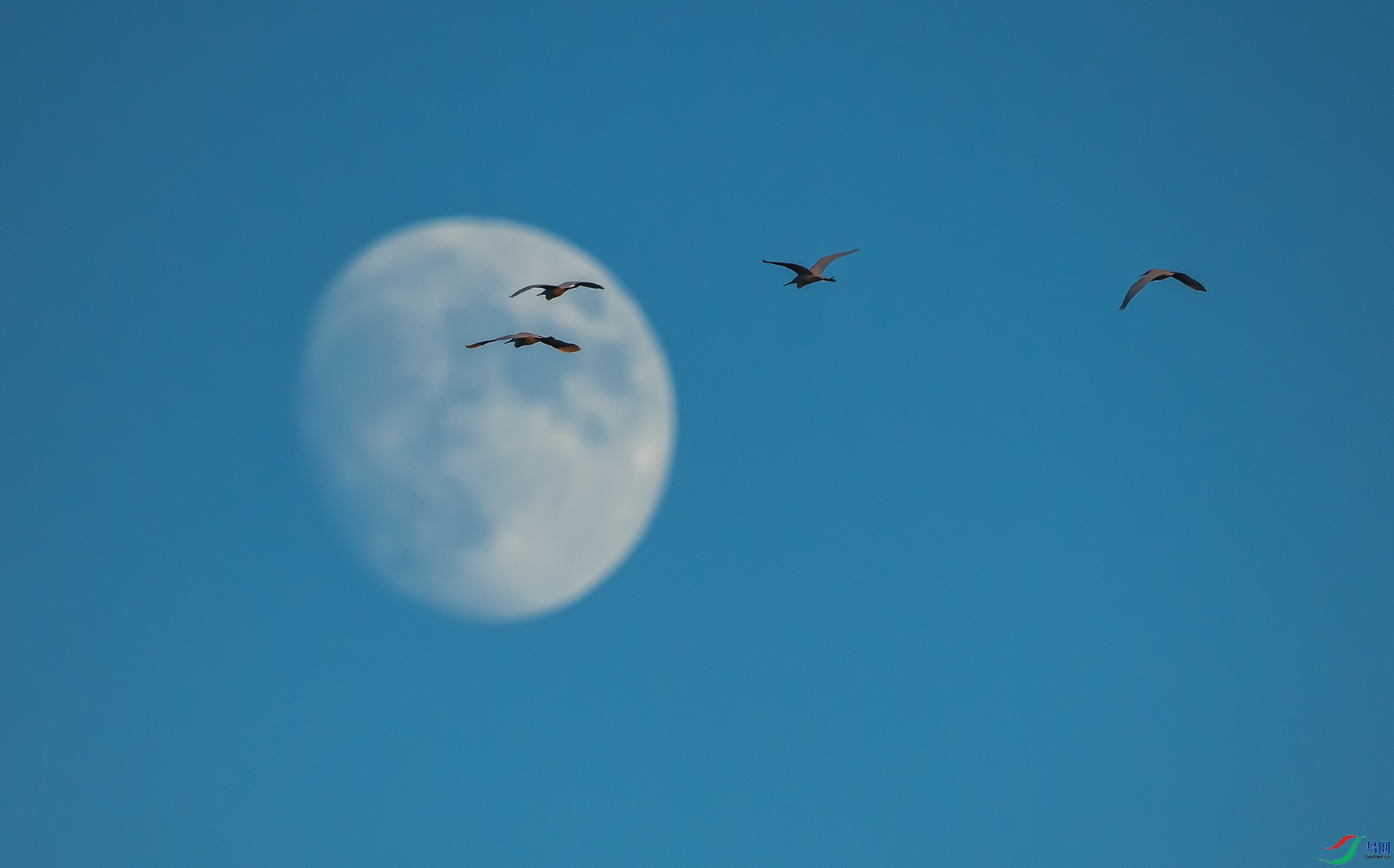 DSC_2400.jpg