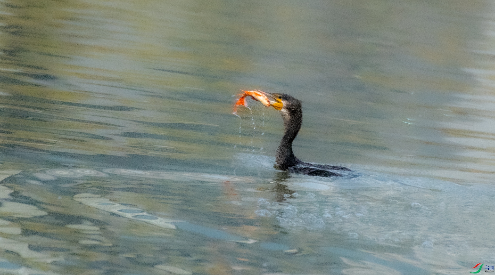 DSC_8758.jpg