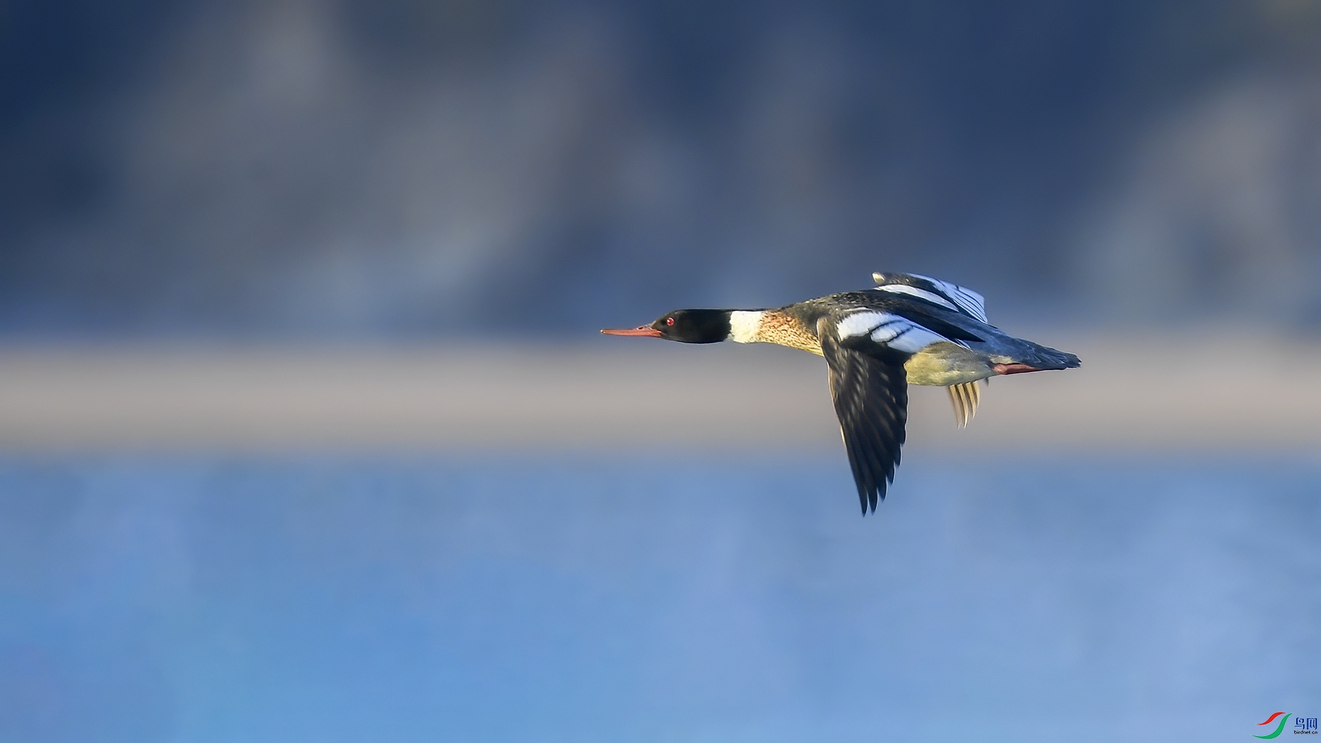 DSC_98mm40.jpg