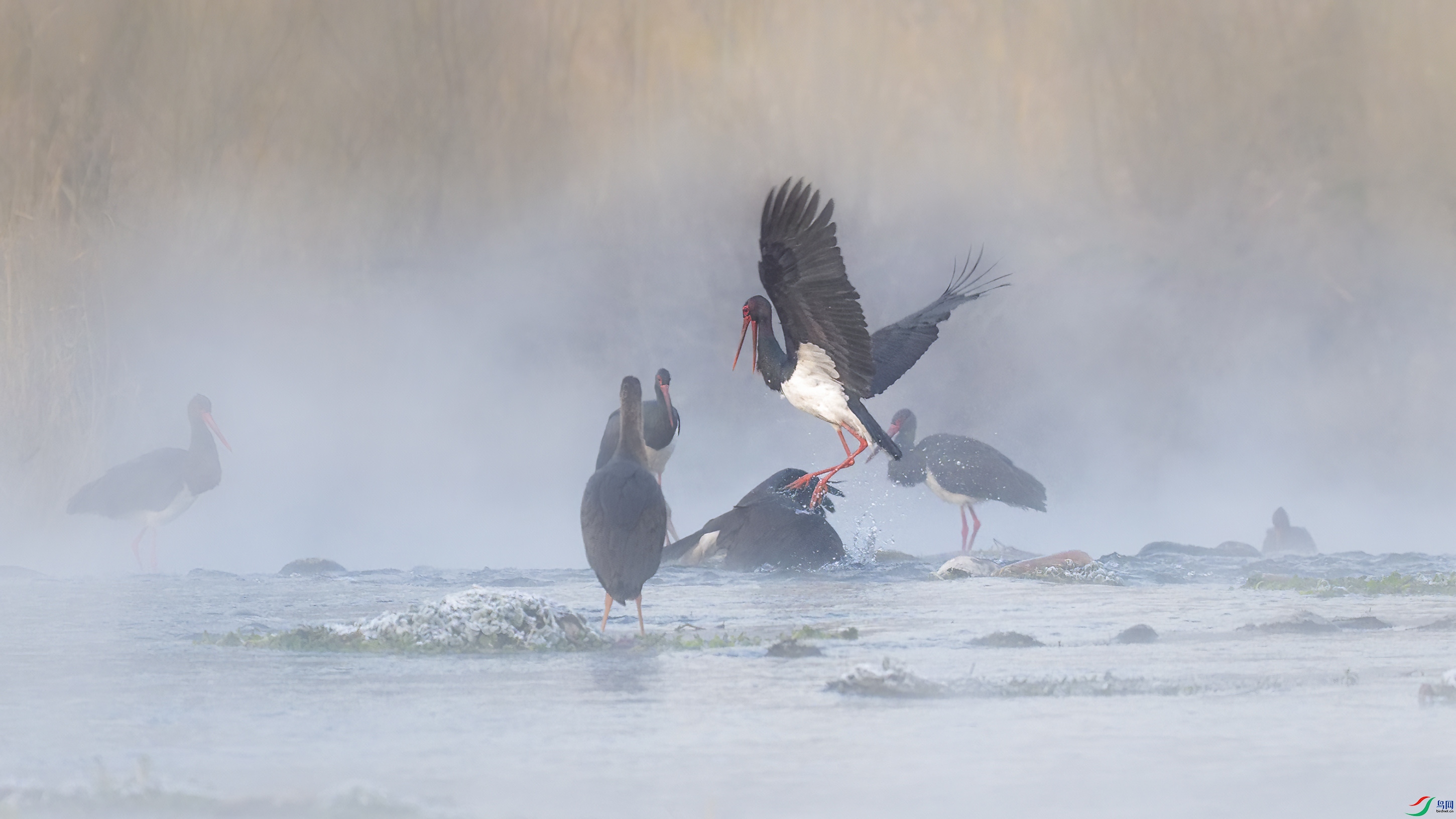 DSC_5749_DxO.jpg