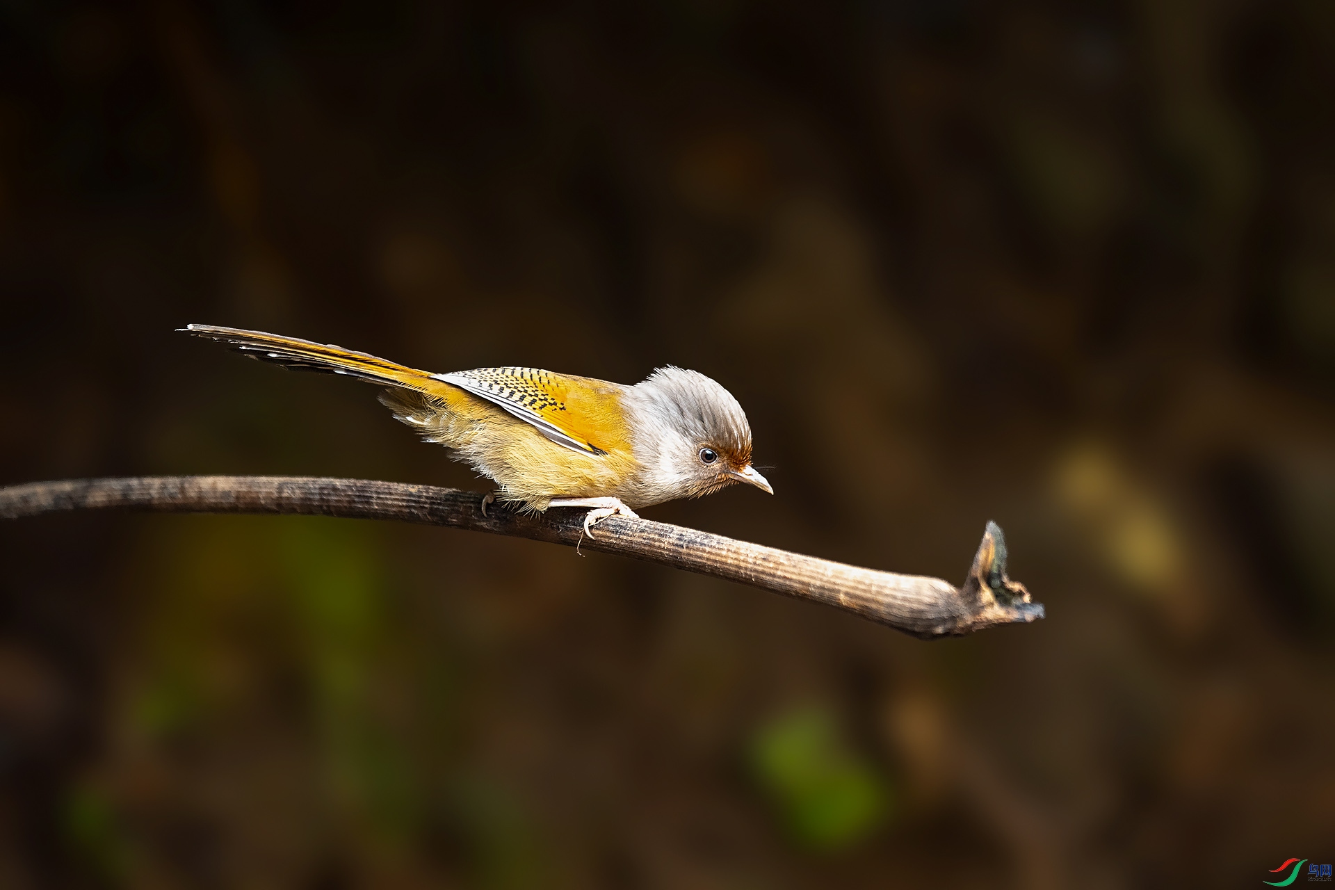 DSC_2883.jpg