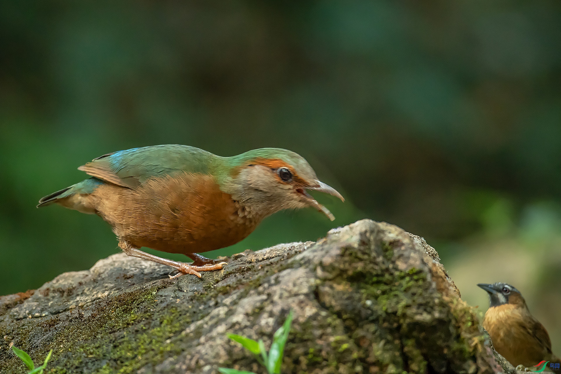 DSC_1594.jpg
