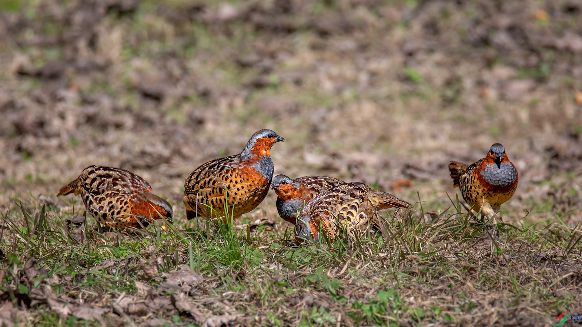8D0A0715-1.jpg
