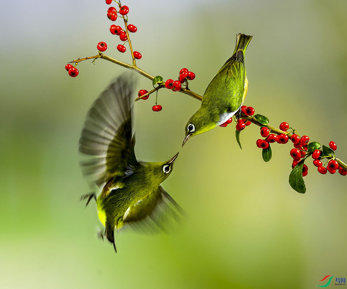 ��Ʒ�� ������������� �������ֻ���18921779766  (9).jpg