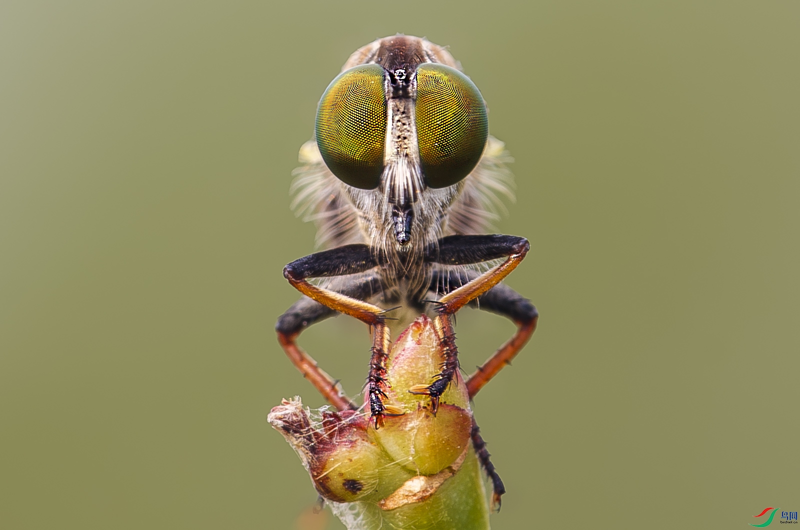 2405-����ǿ-NR-1.jpg