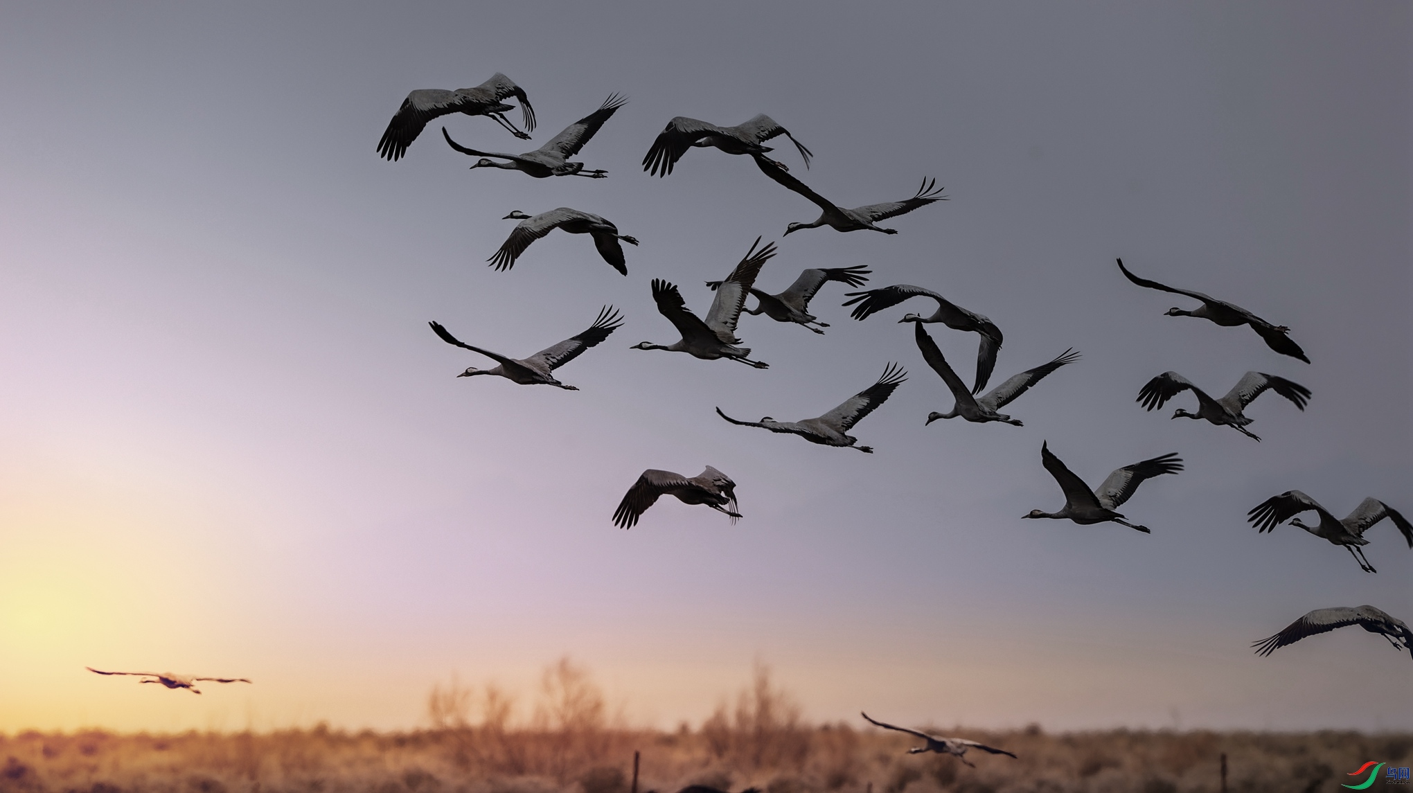 7X5A0112 - ����.JPG