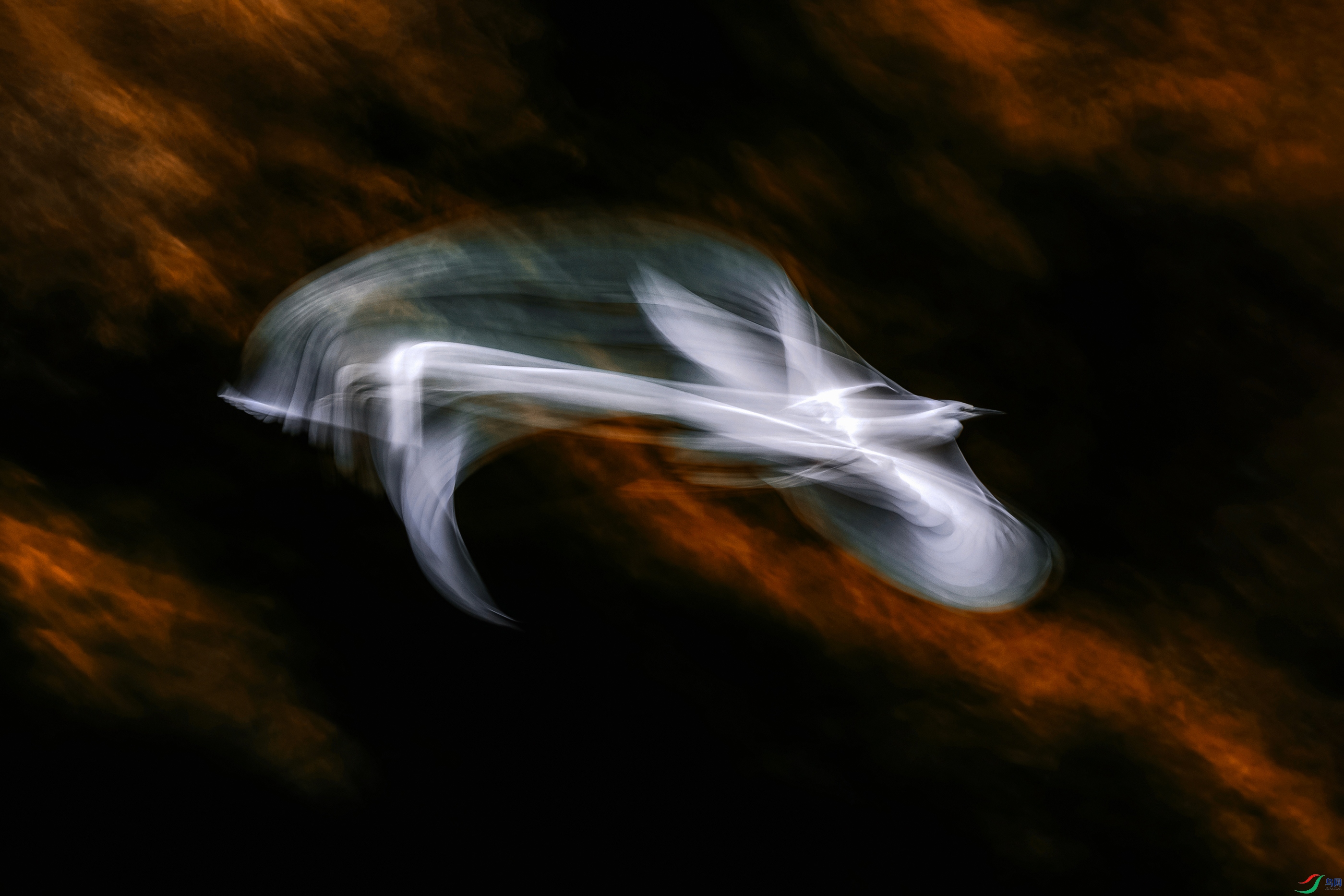 AK8I2388.jpg