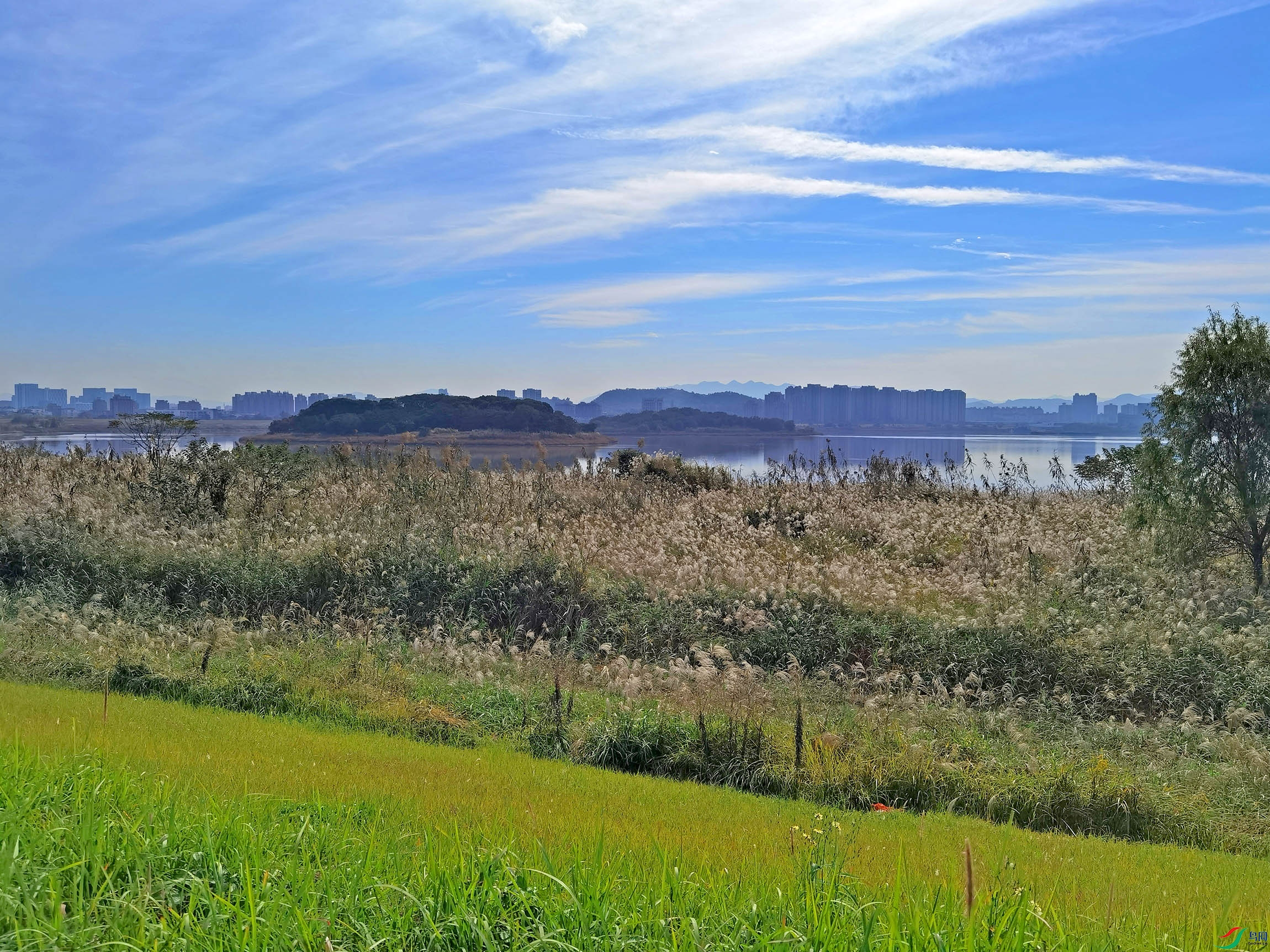 IMG_20231103_095904.jpg